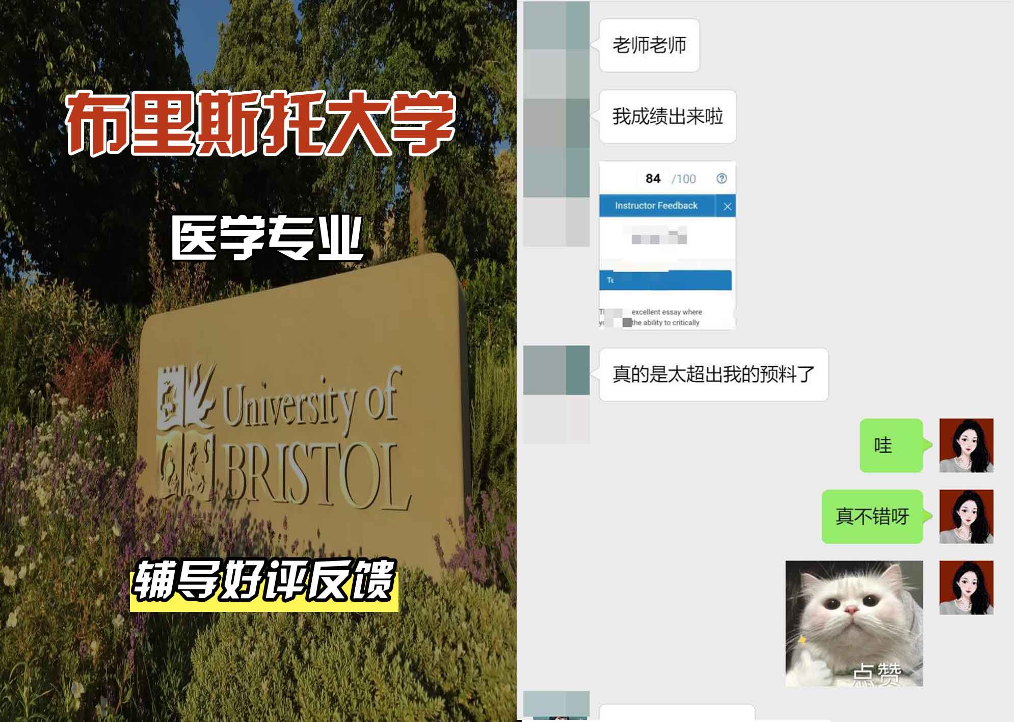 布里斯托大学布大医学辅导好评反馈