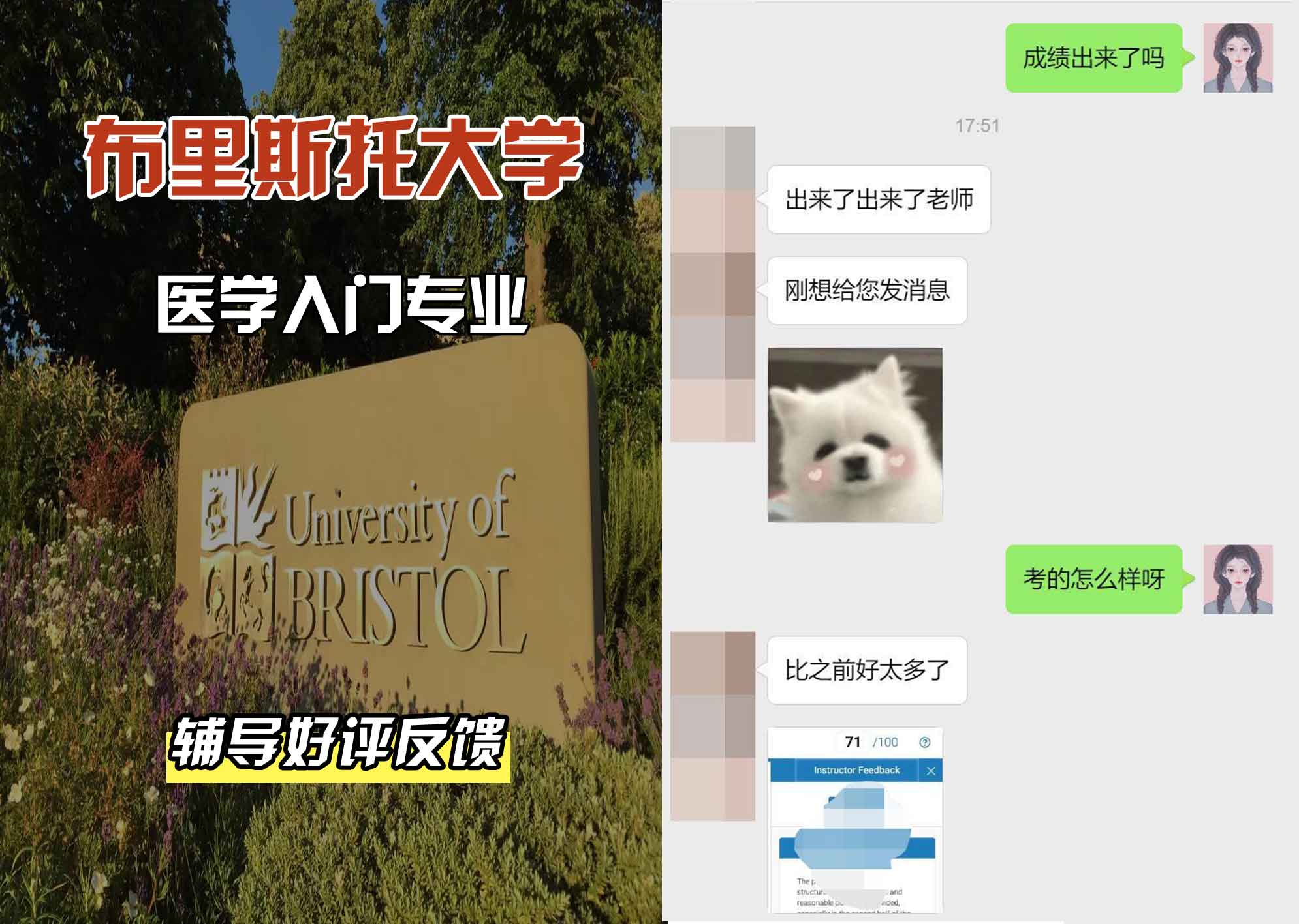 布里斯托大学布大医学入门辅导好评反馈