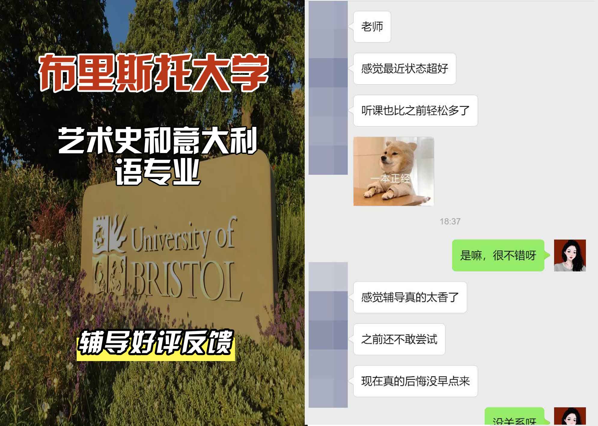 布里斯托大学布大艺术史和意大利语辅导好评反馈