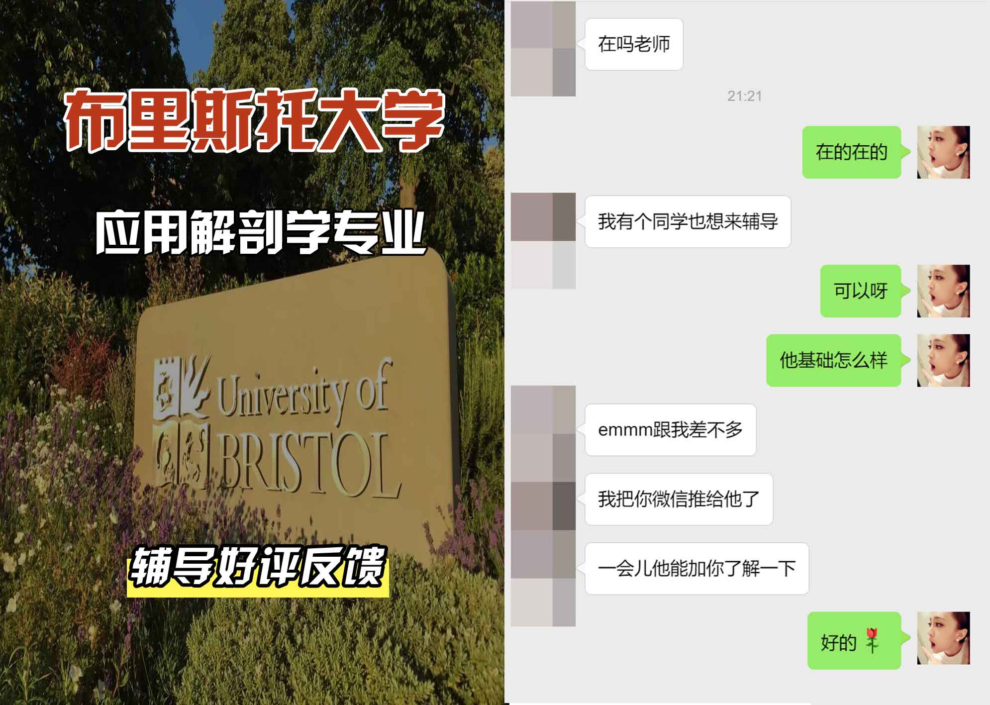 布里斯托大学布大应用解剖学辅导好评反馈