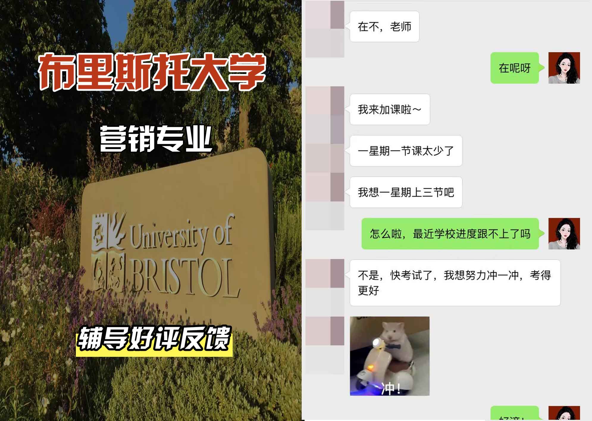 布里斯托大学布大营销辅导好评反馈