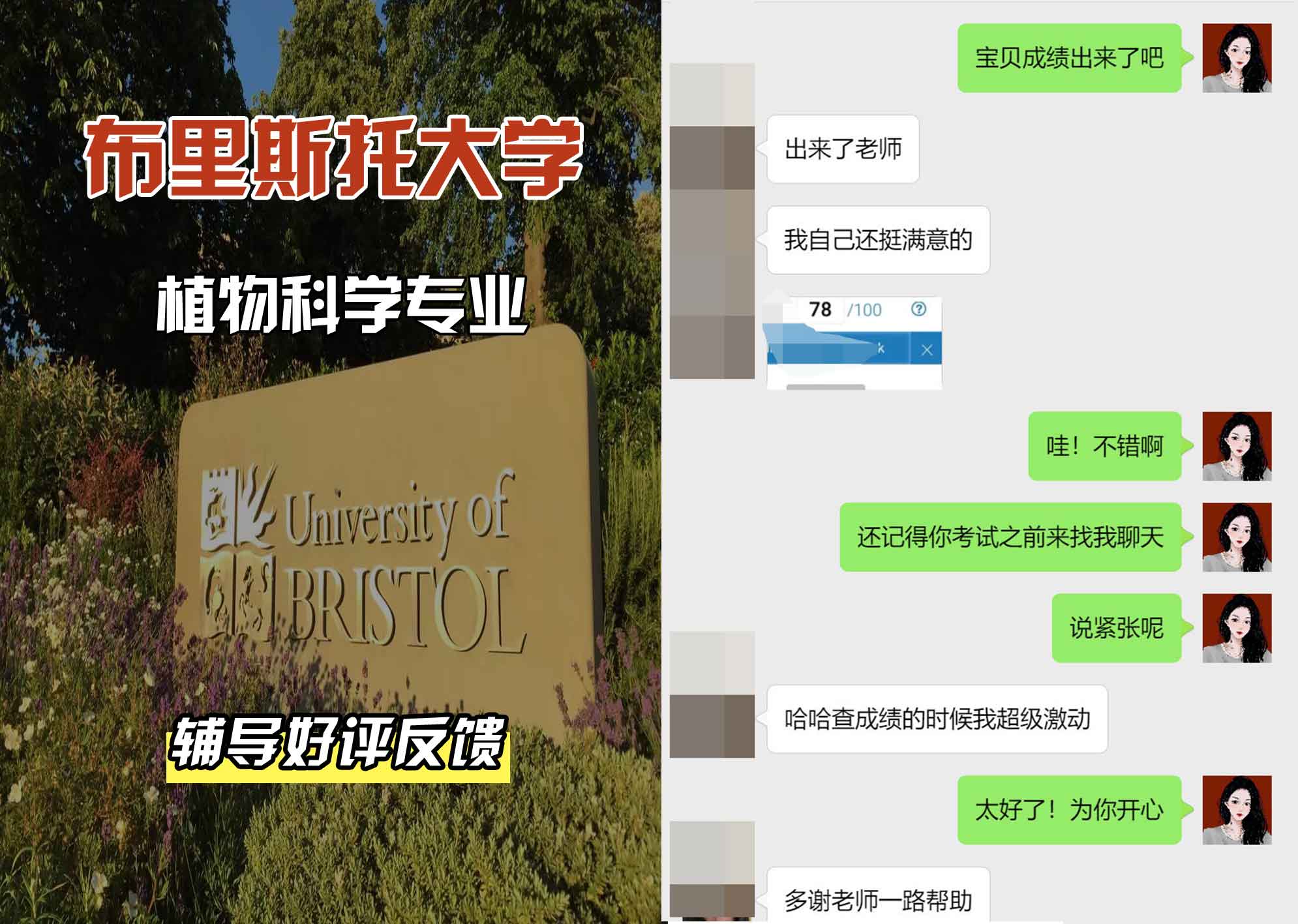 布里斯托大学布大植物科学辅导好评反馈