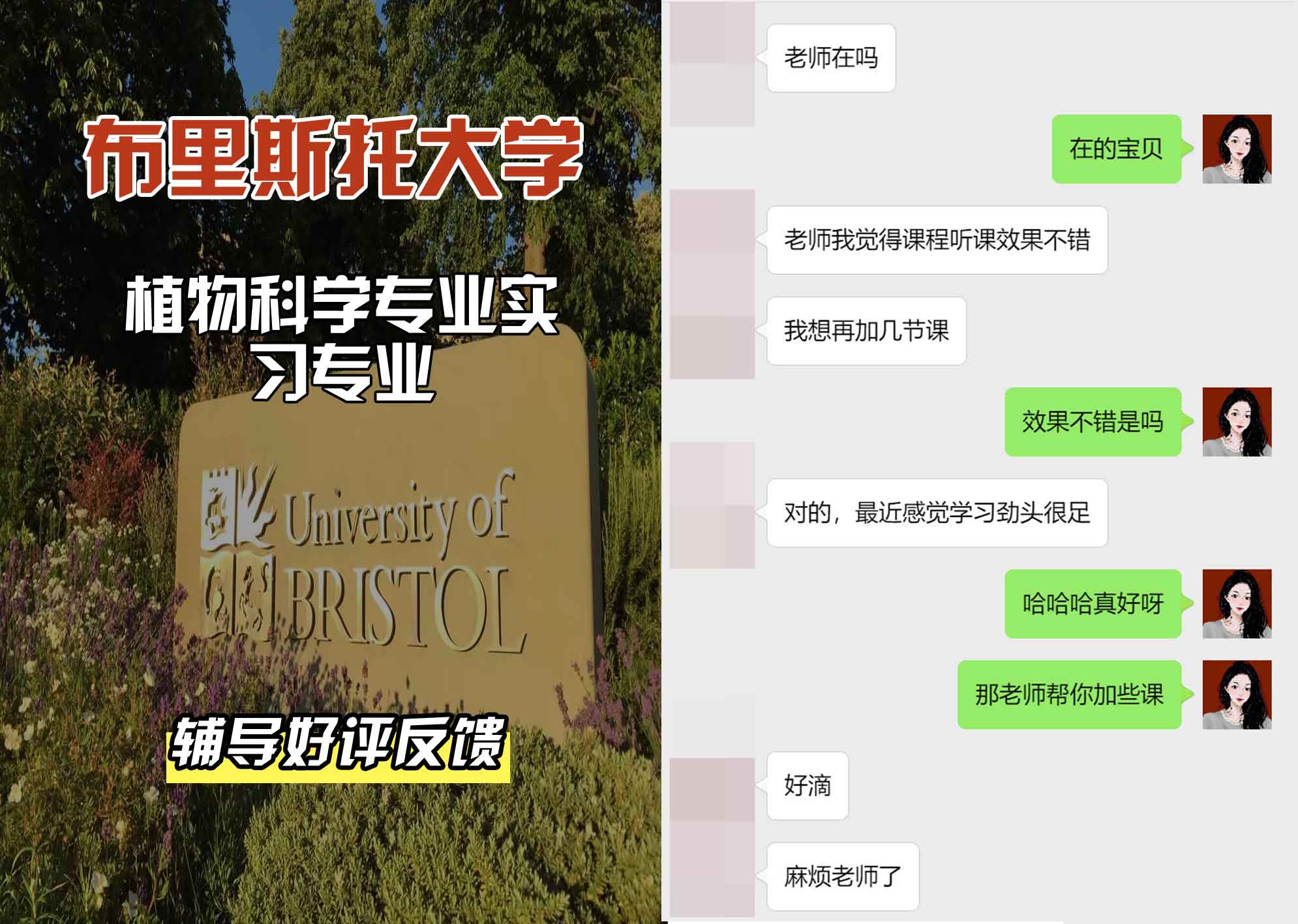布里斯托大学布大植物科学专业实习辅导好评反馈