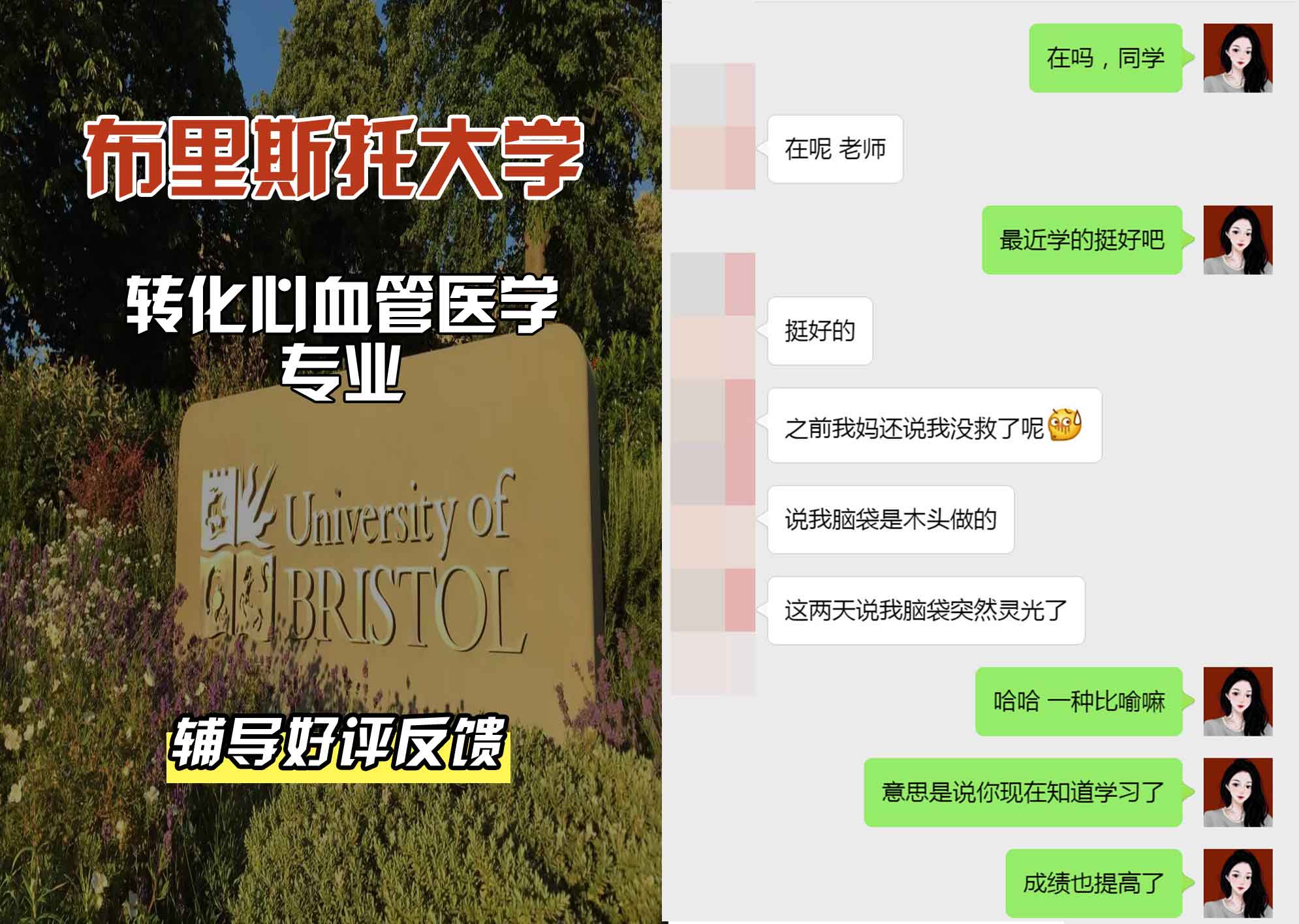 布里斯托大学布大转化心血管医学辅导好评反馈