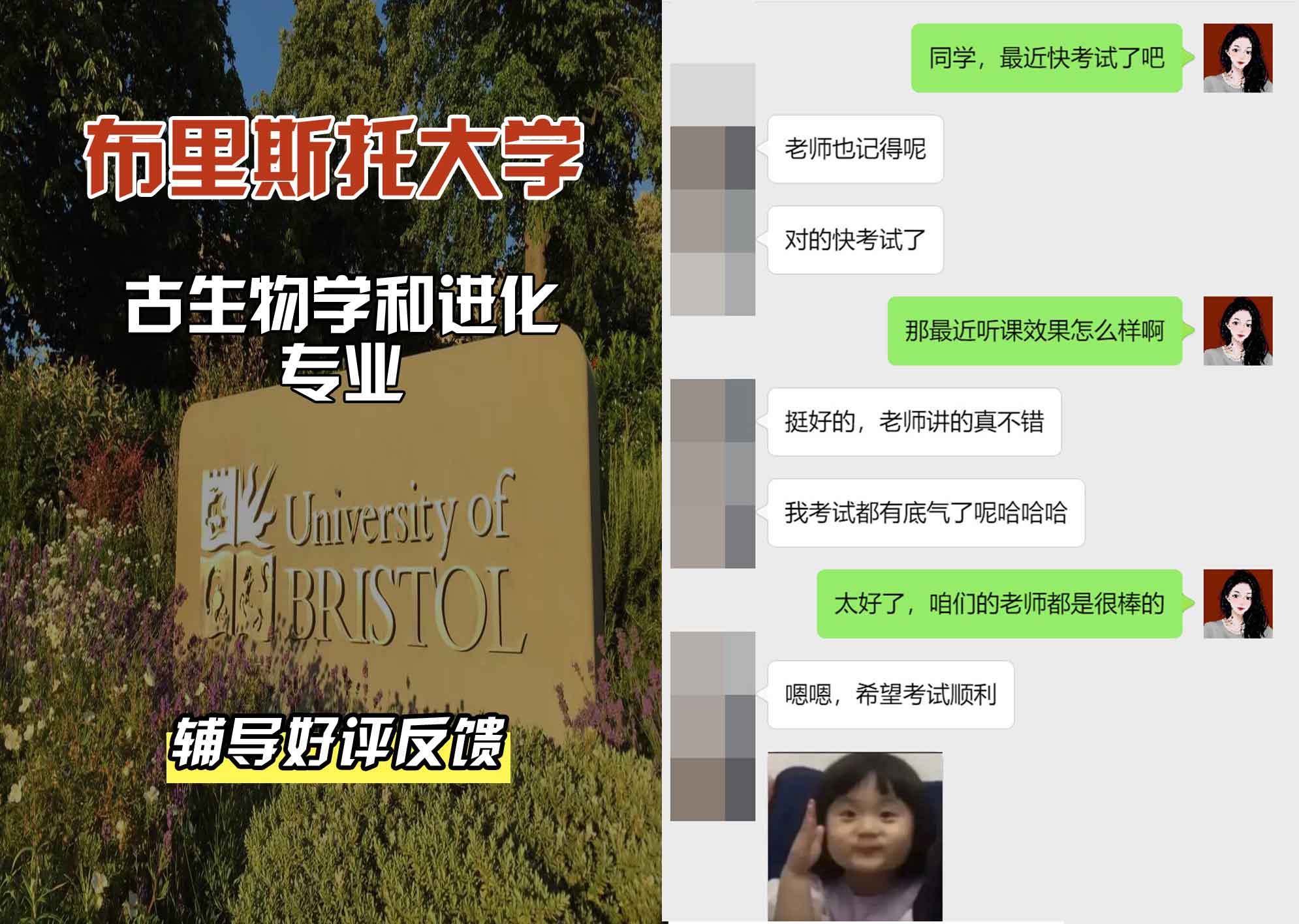 布里斯托大学布大古生物学和进化辅导好评反馈