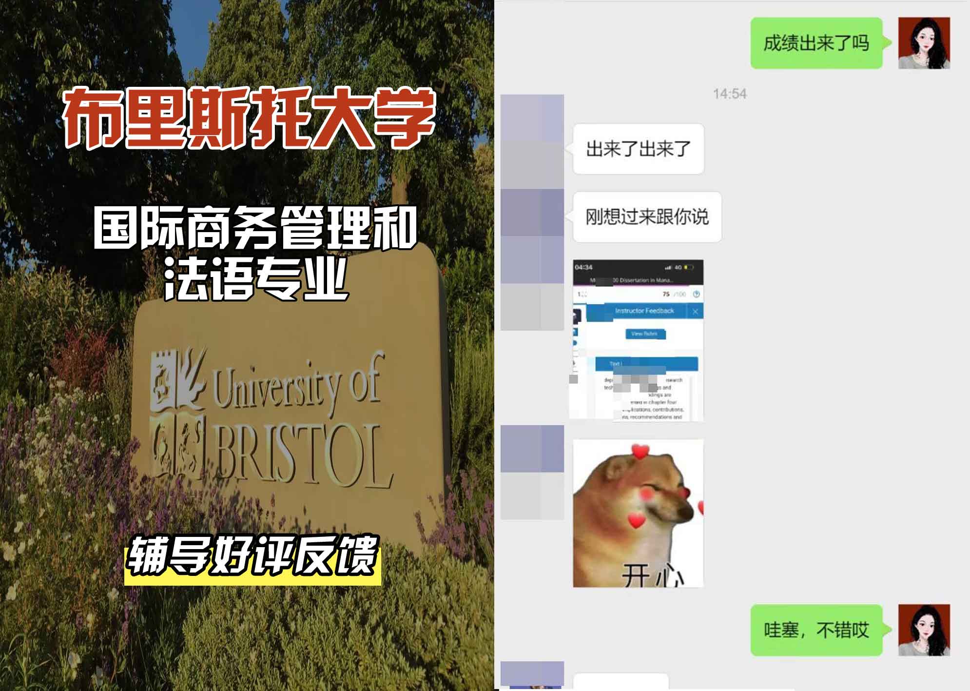 布里斯托大学布大国际商务管理和法语辅导好评反馈