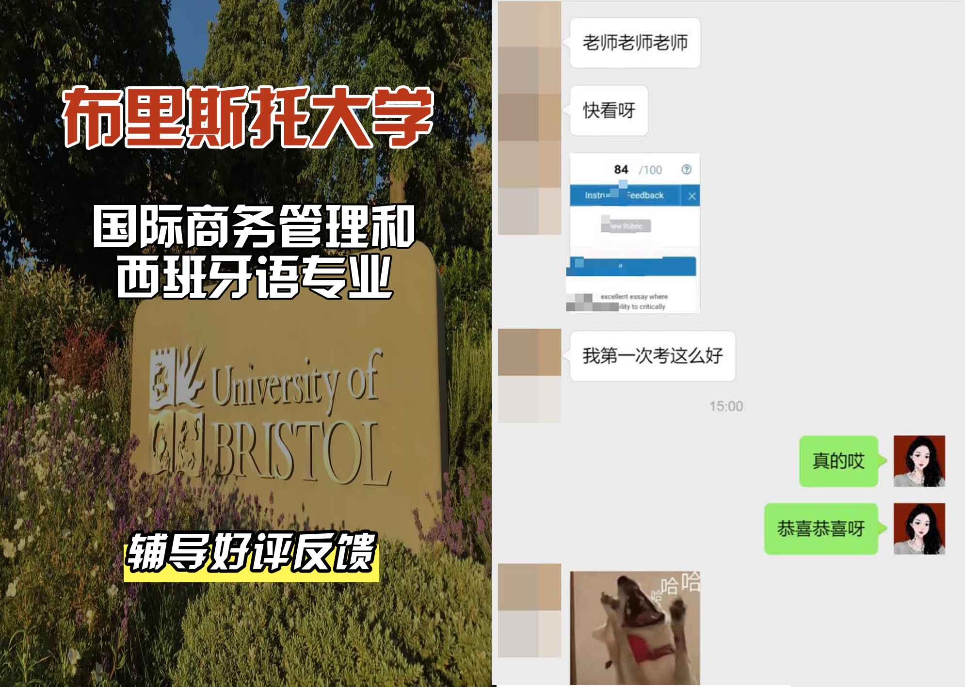 布里斯托大学布大国际商务管理和西班牙语辅导好评反馈