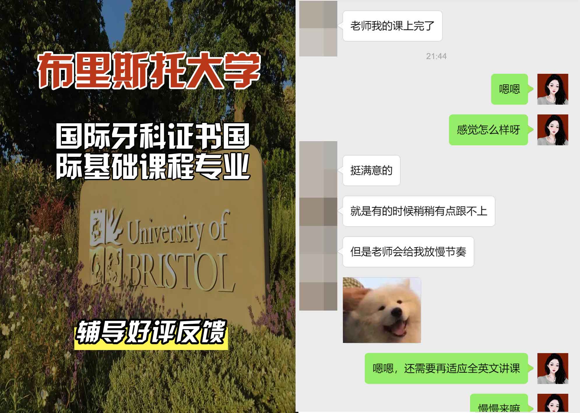 布里斯托大学布大牙科证书国际基础课程辅导好评反馈