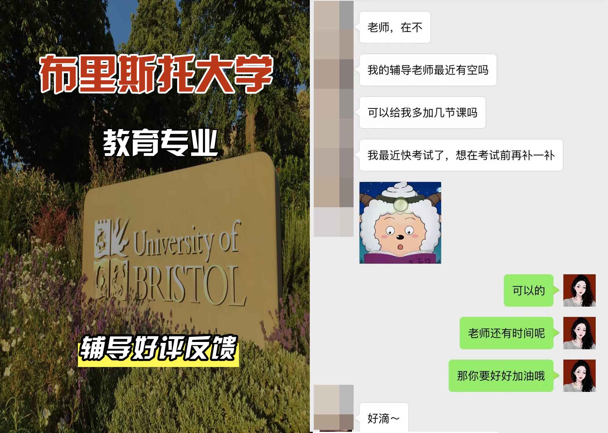 布里斯托大学布大教育辅导好评反馈