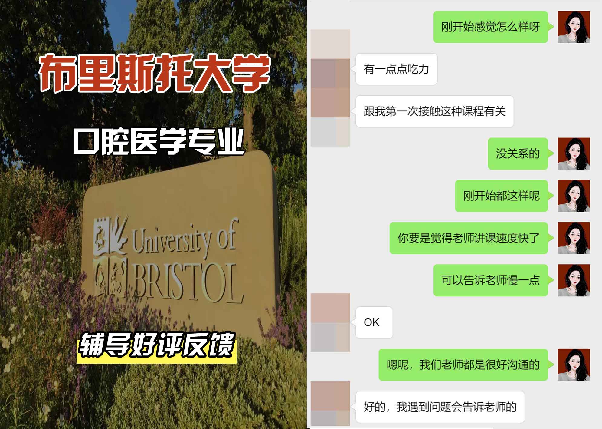 布里斯托大学布大口腔医学辅导好评反馈