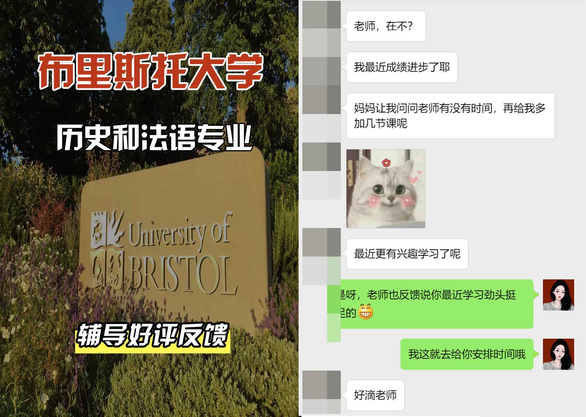 布里斯托大学布大历史和法语辅导好评反馈