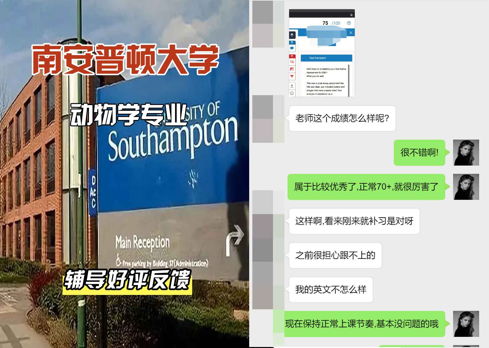南安普顿大学南安动物学辅导好评反馈