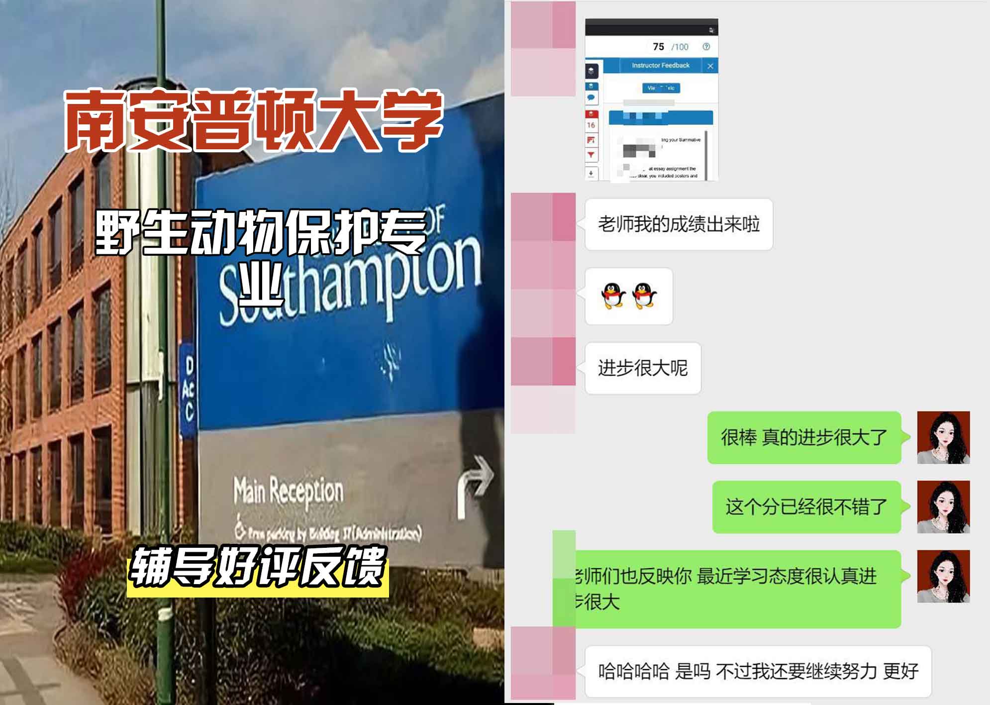南安普顿大学南安野生动物保护辅导好评反馈