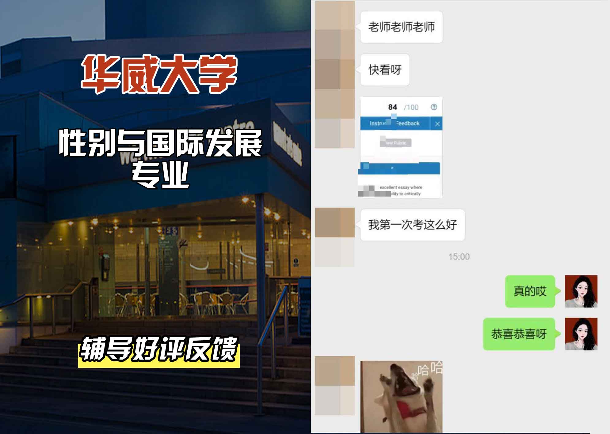 华威大学华威性别与国际发展辅导好评反馈