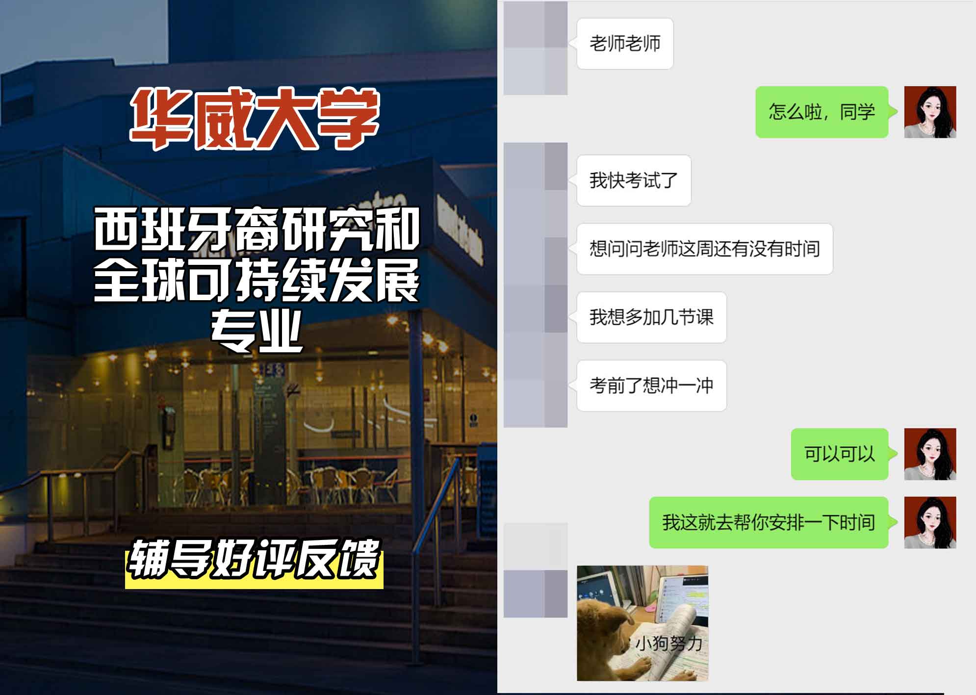 华威大学华威西班牙裔研究和全球可持续发展辅导好评反馈