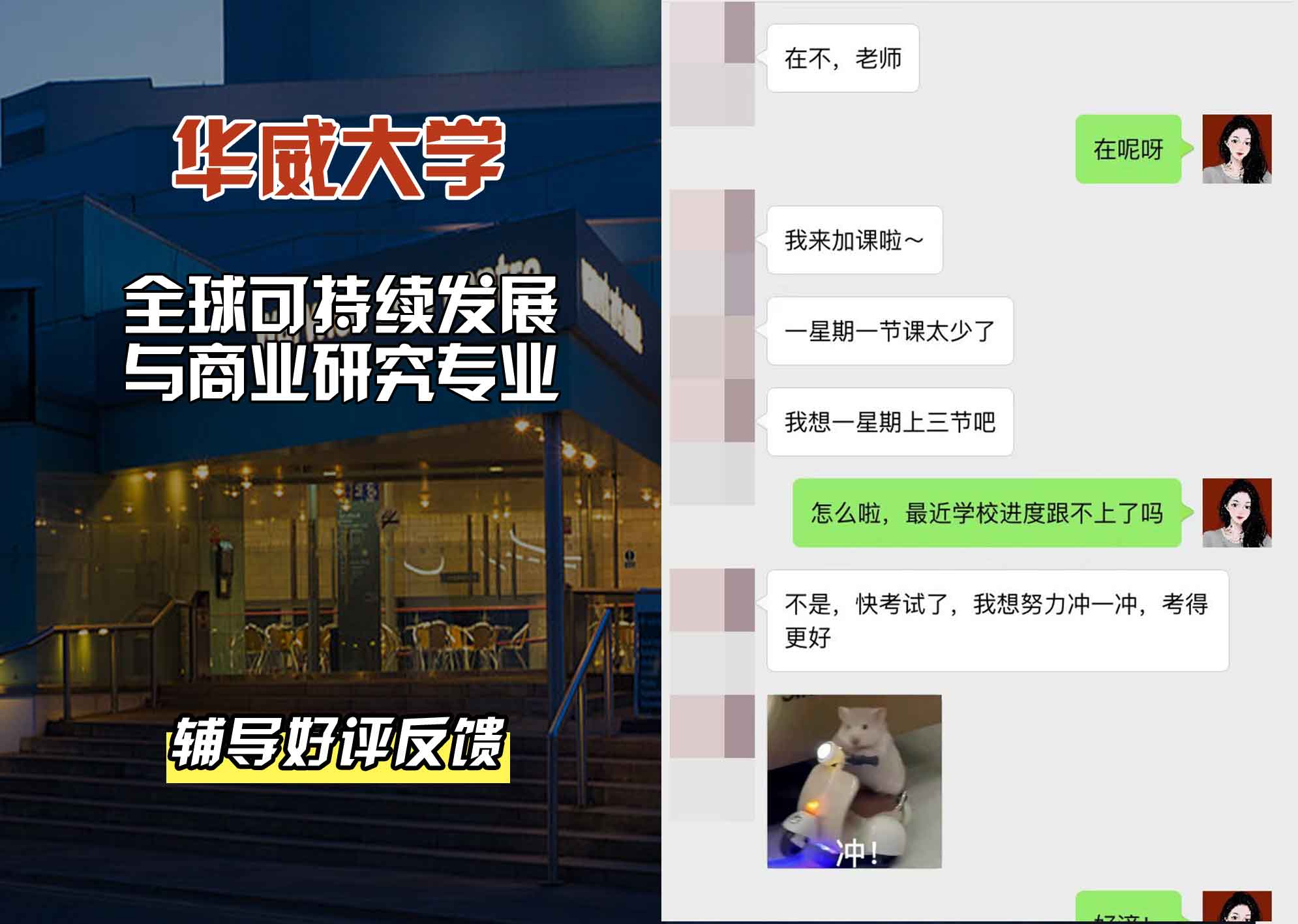 华威大学华威全球可持续发展与商业研究辅导好评反馈