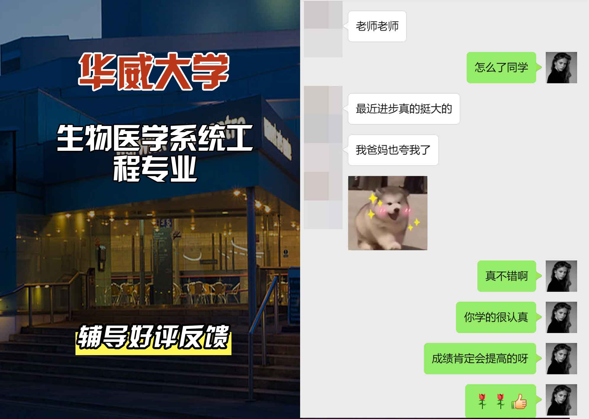 华威大学华威生物医学系统工程辅导好评反馈