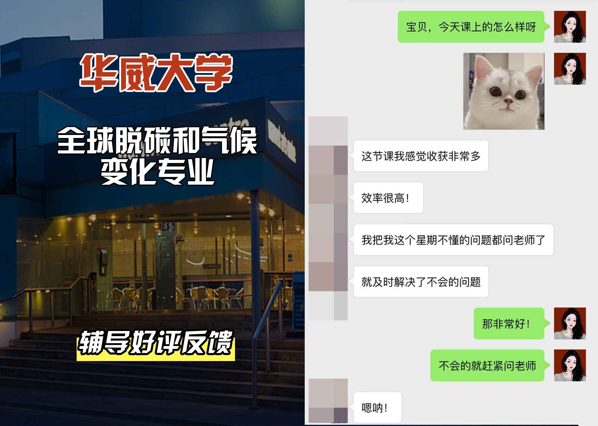 华威大学华威全球脱碳与气候变化辅导好评反馈