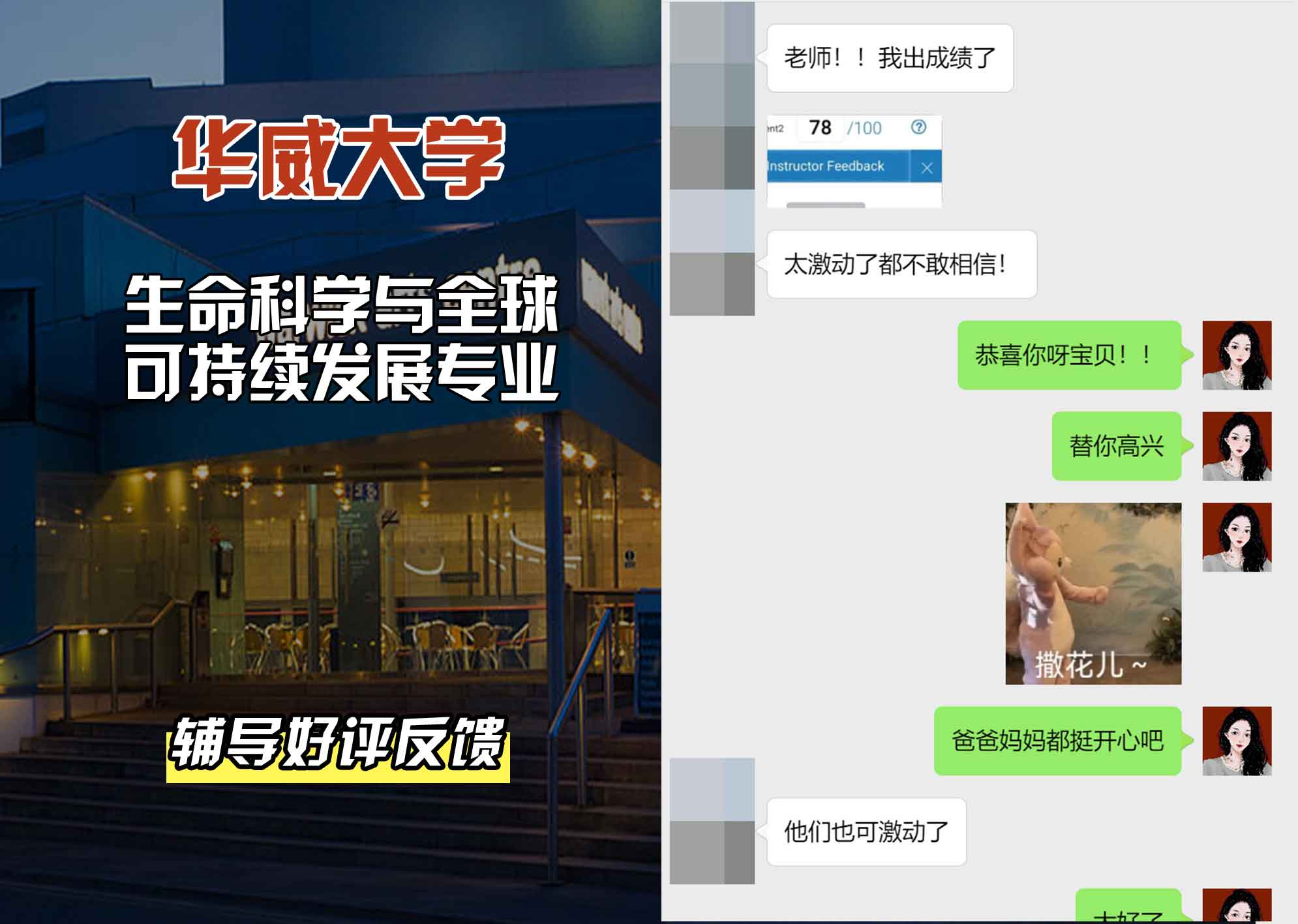 华威大学华威生命科学与全球可持续发展辅导好评反馈