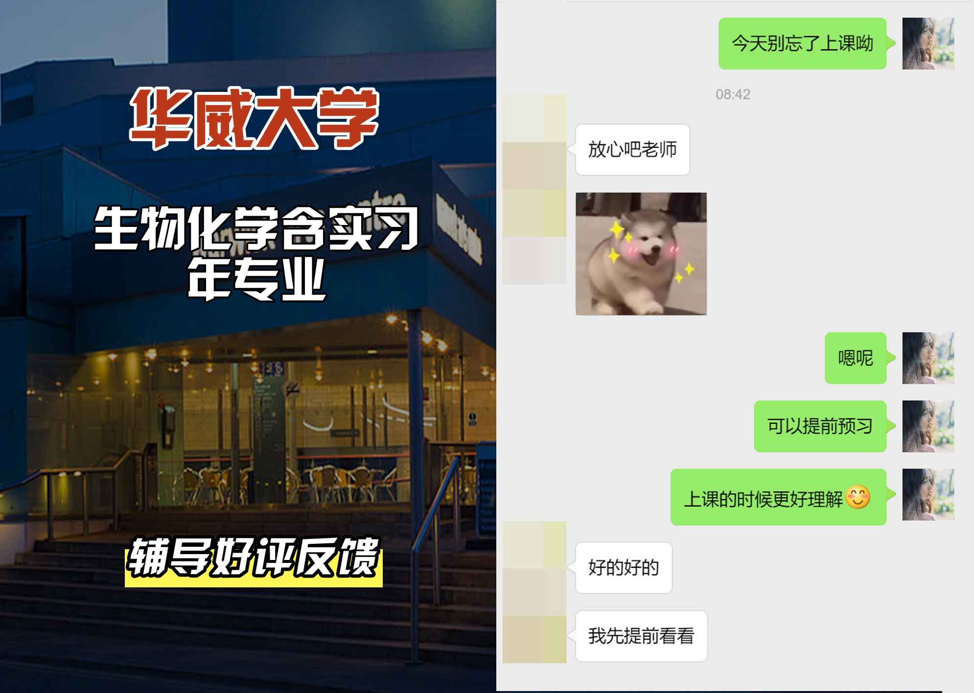 华威大学华威生物化学含实习年辅导好评反馈