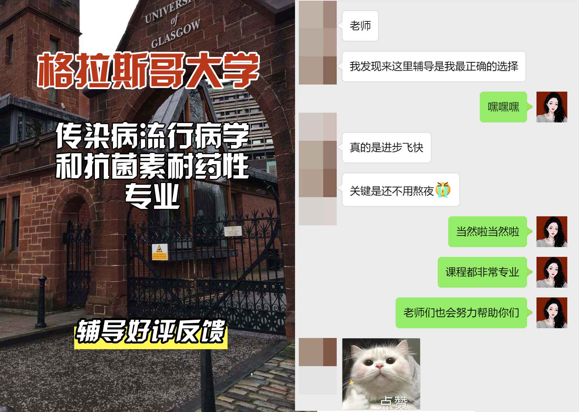 格拉斯哥大学格大传染病流行病学和抗菌素耐药性辅导好评反馈