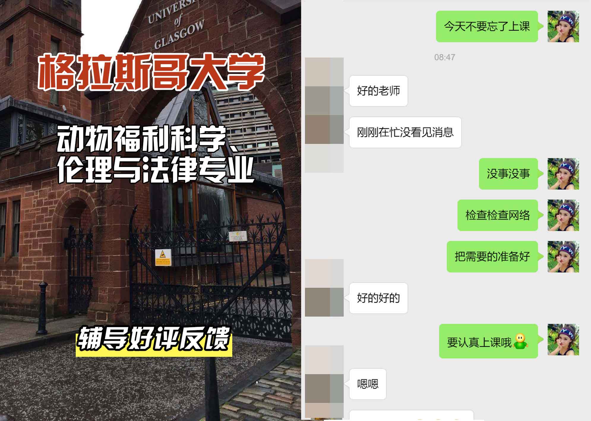 格拉斯哥大学格大动物福利科学、伦理与法律辅导好评反馈