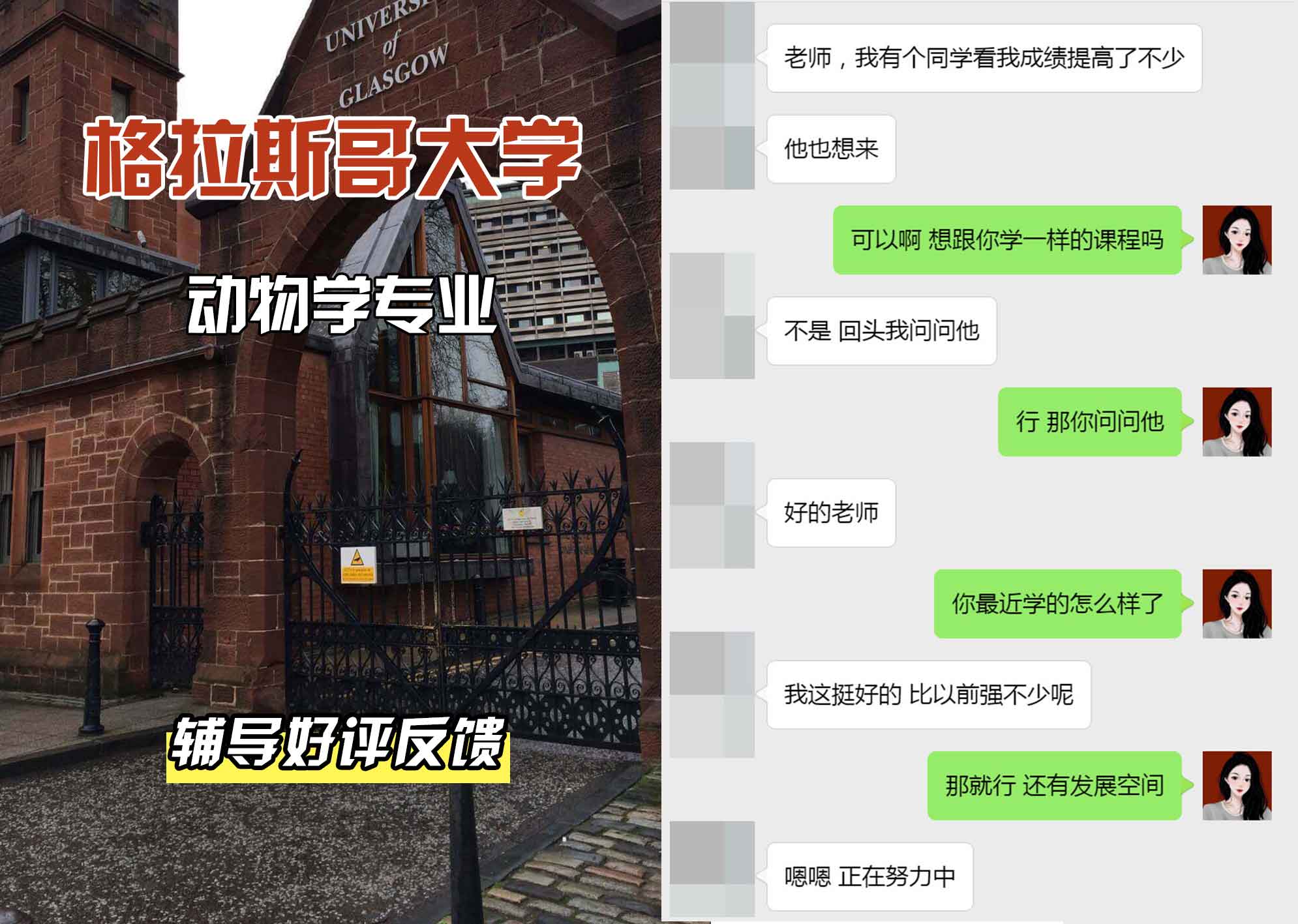 格拉斯哥大学格大动物学辅导好评反馈