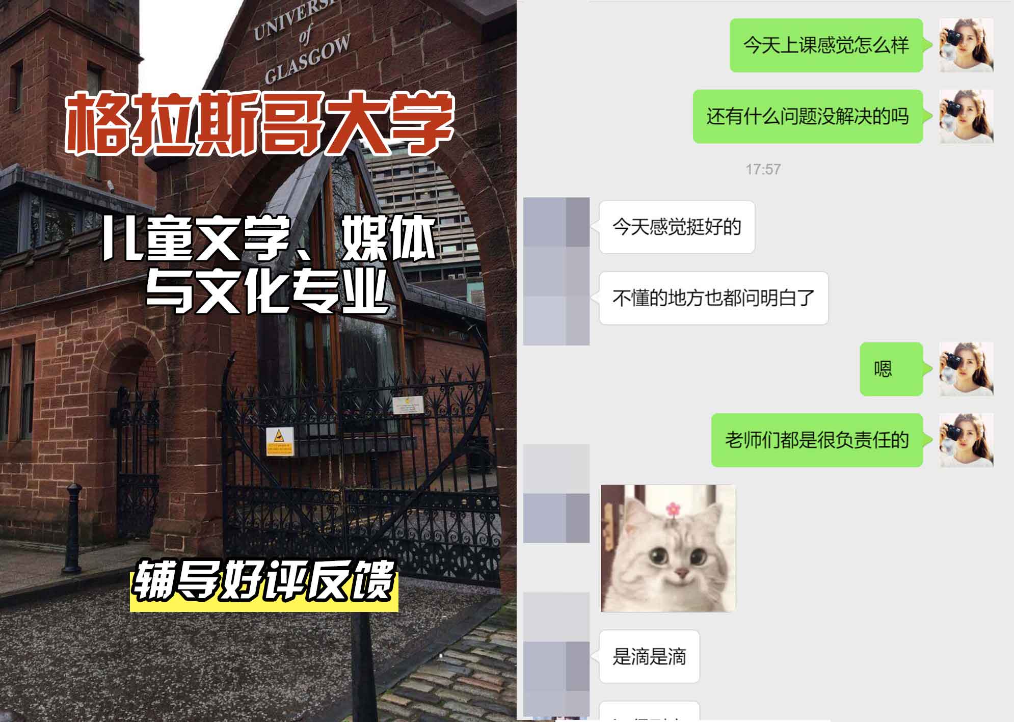 格拉斯哥大学格大儿童文学、媒体与文化辅导好评反馈