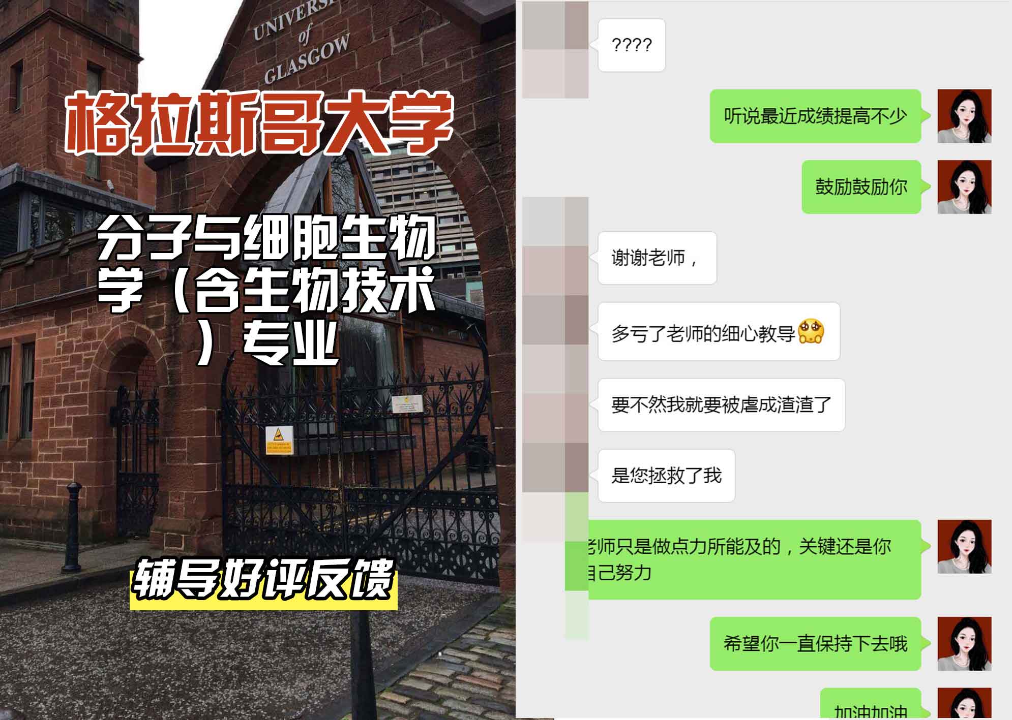 格拉斯哥大学格大分子与细胞生物学（含生物技术）辅导好评反馈