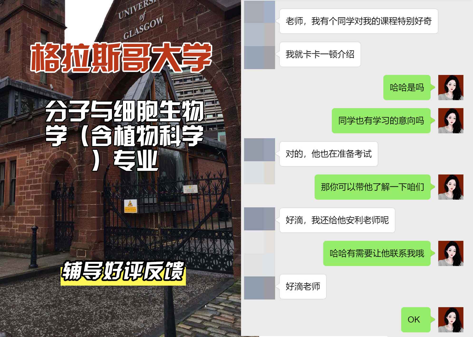 格拉斯哥大学格大分子与细胞生物学（含植物科学）辅导好评反馈