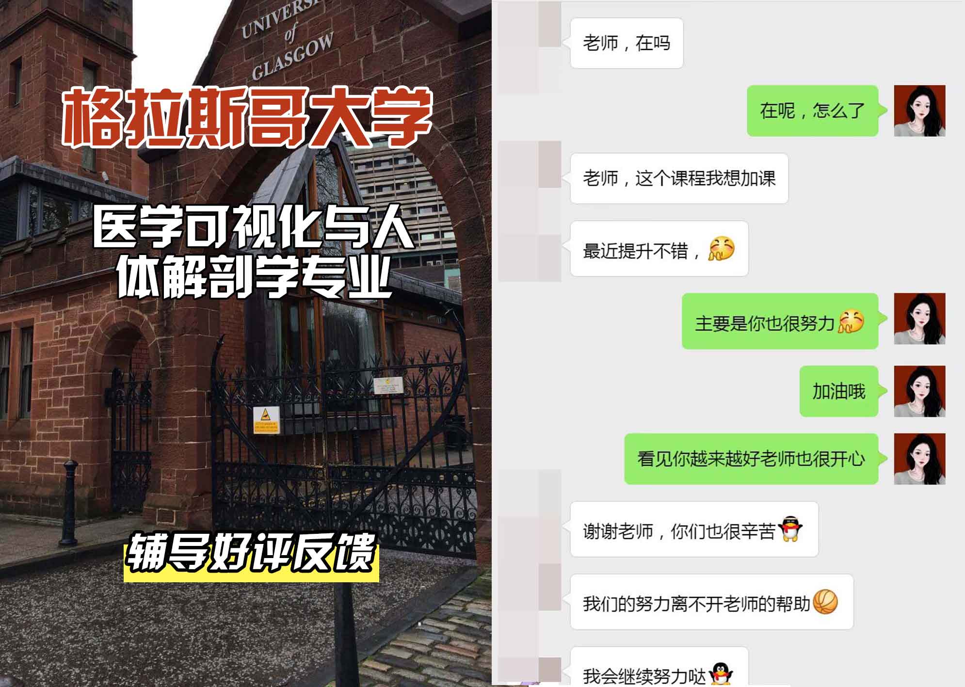 格拉斯哥大学格大医学可视化与人体解剖学辅导好评反馈