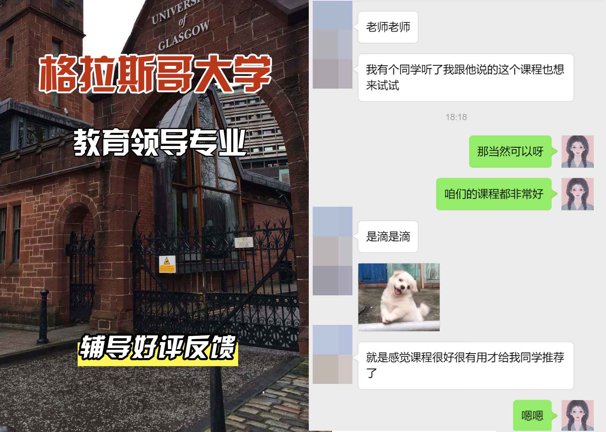 格拉斯哥大学格大教育领导辅导好评反馈