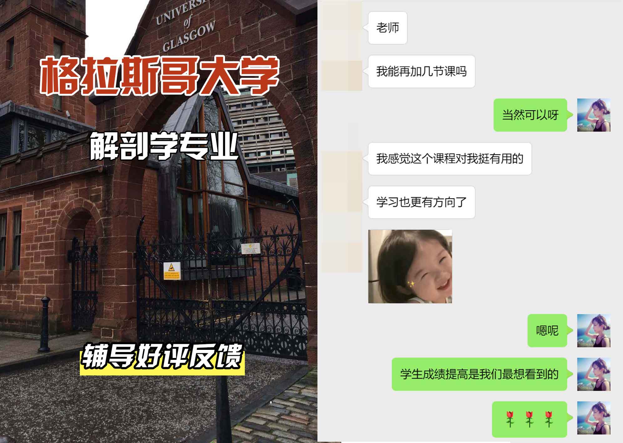 格拉斯哥大学格大解剖学辅导好评反馈