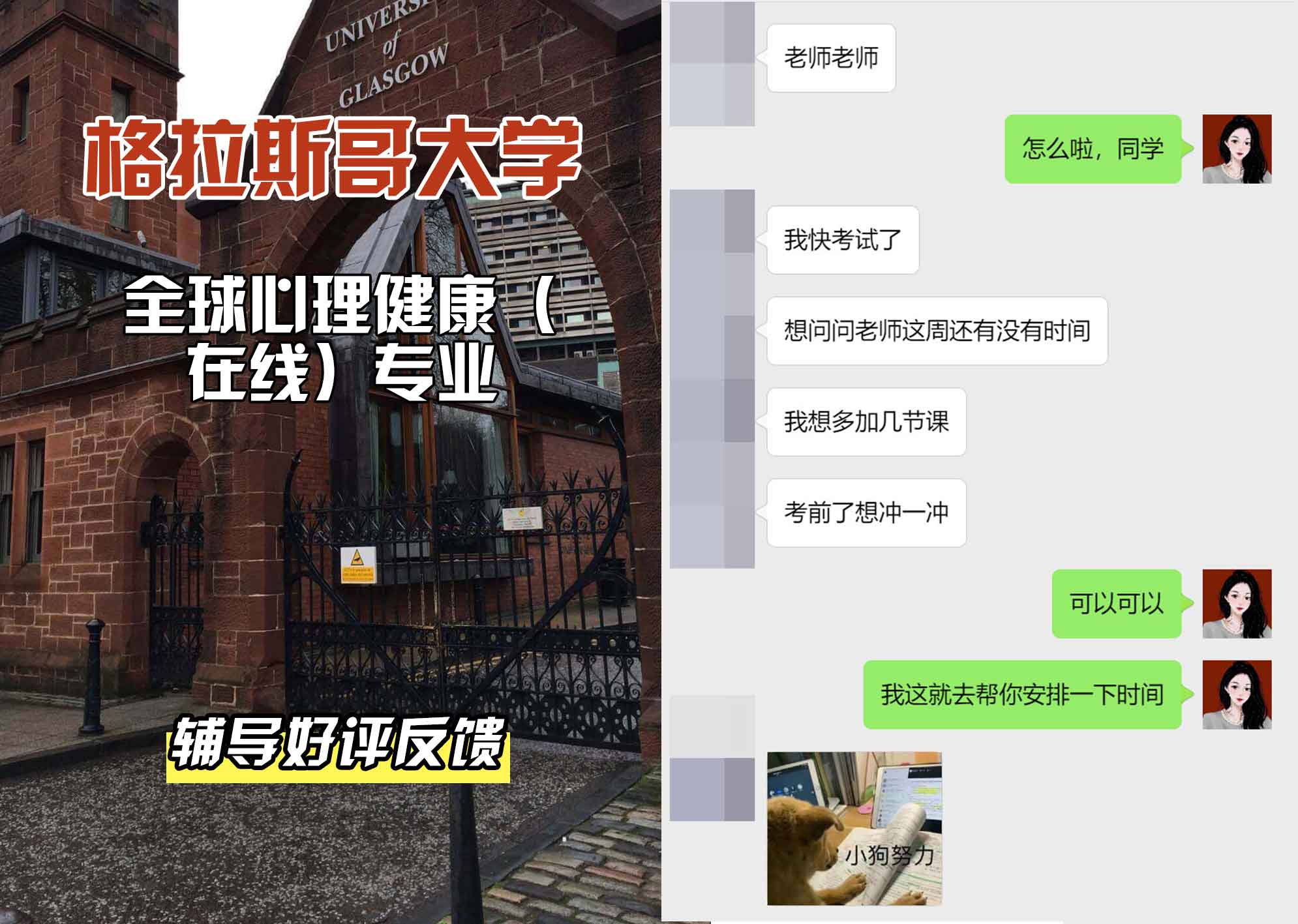 格拉斯哥大学格大全球心理健康（在线）辅导好评反馈