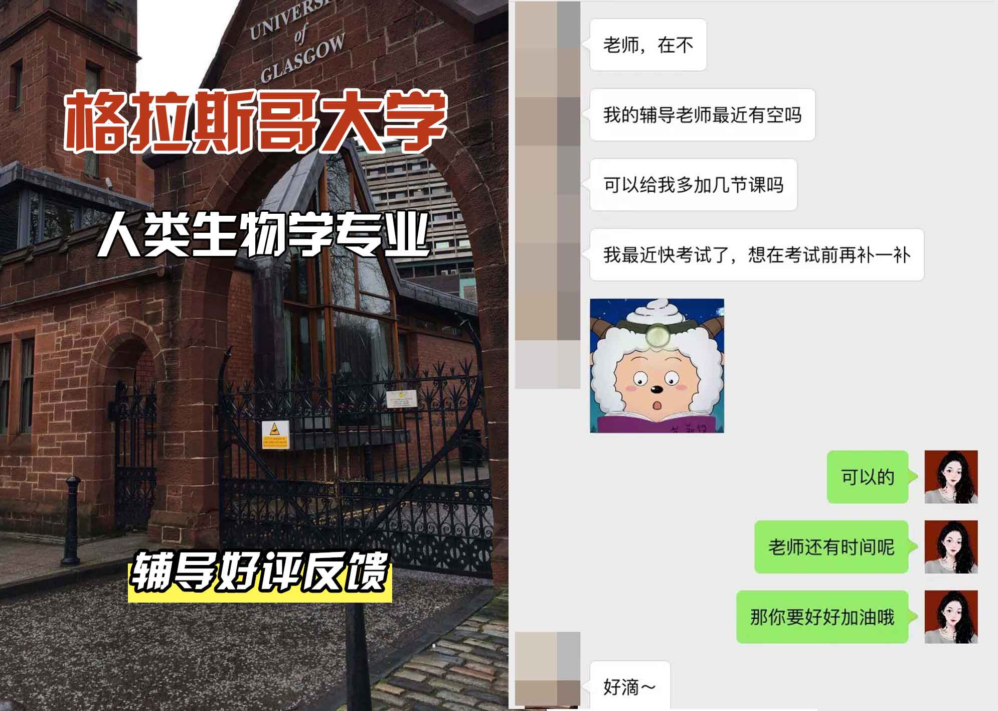 格拉斯哥大学格大人类生物学辅导好评反馈