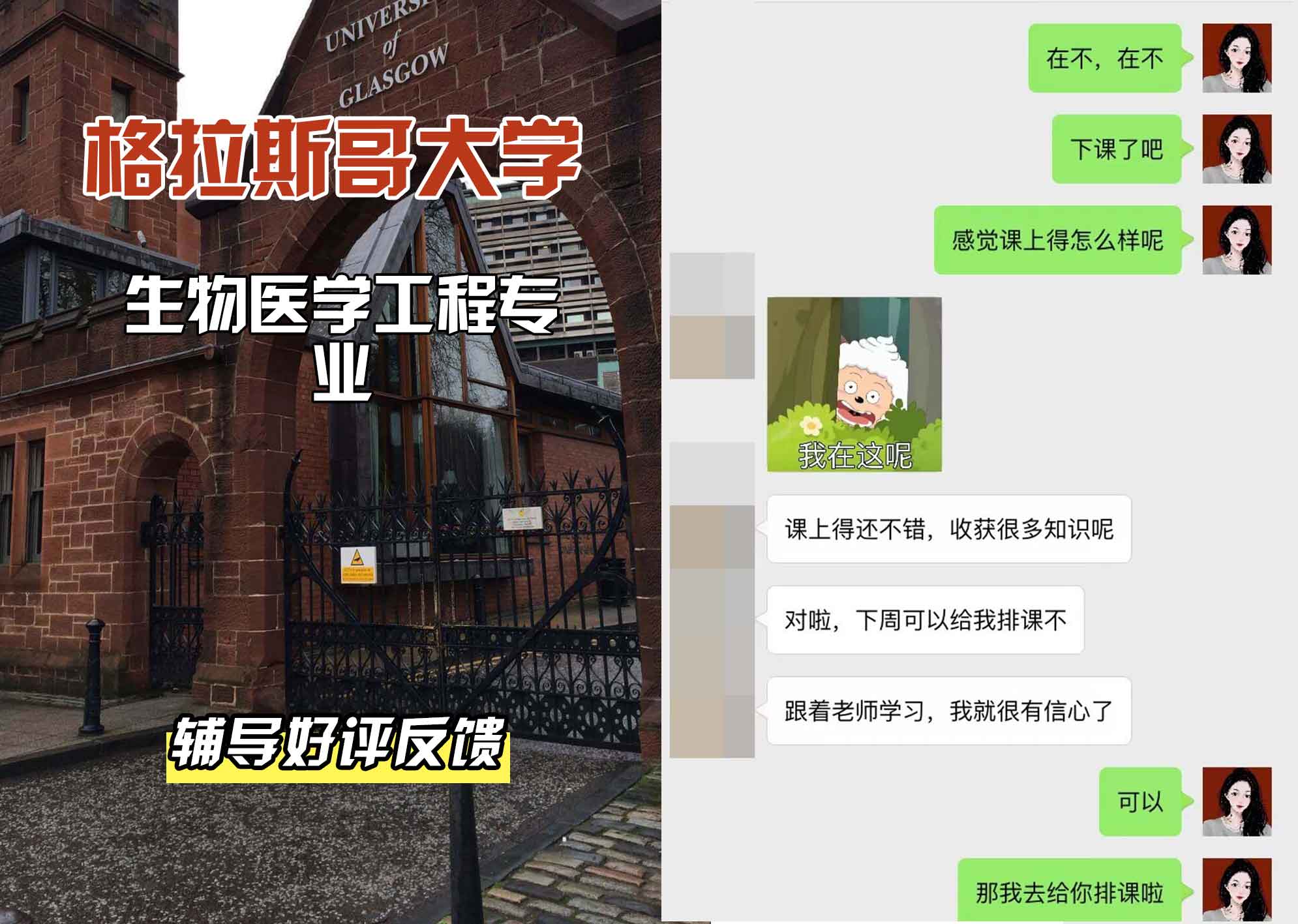 格拉斯哥大学格大生物医学工程辅导好评反馈