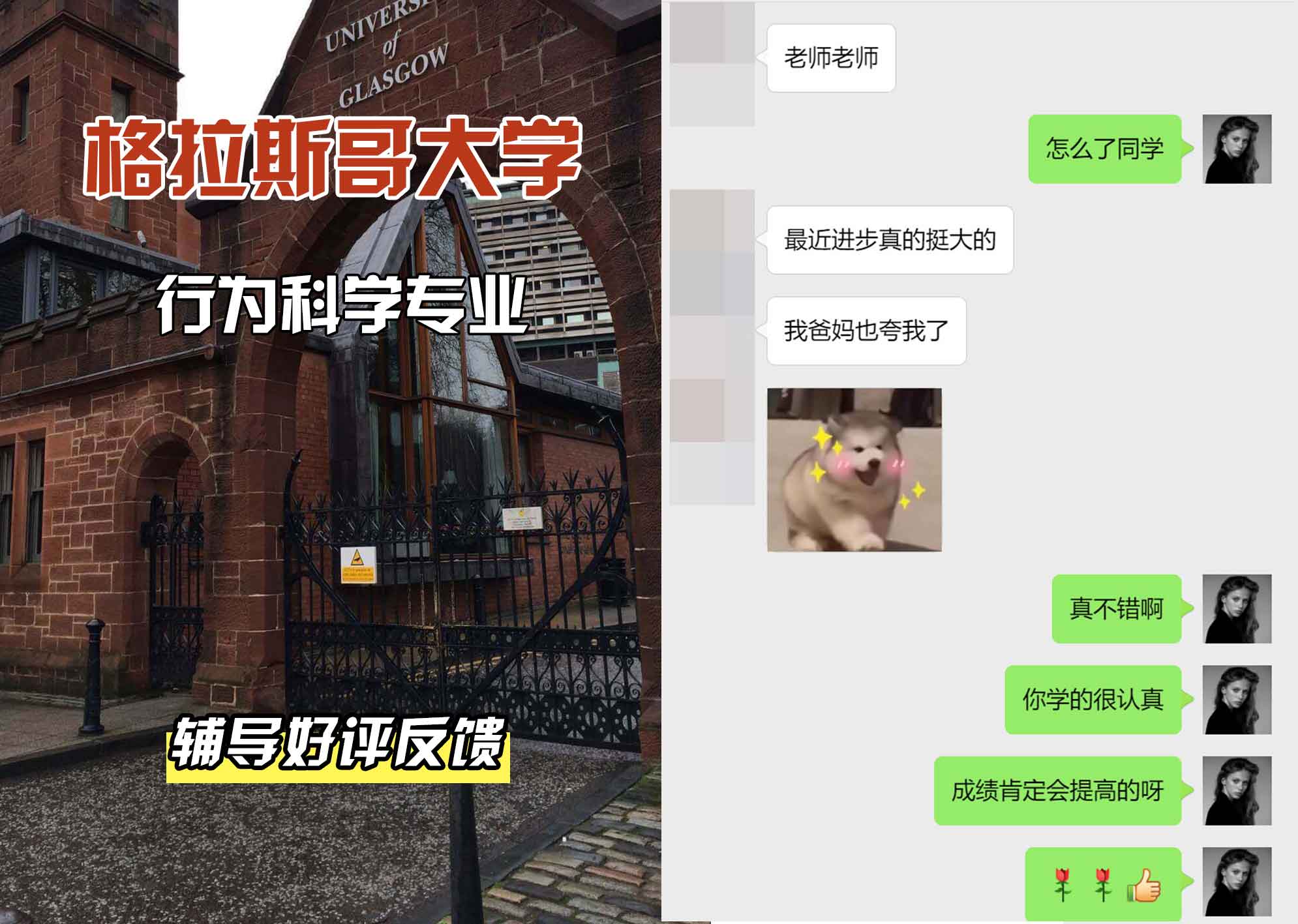 格拉斯哥大学格大行为科学辅导好评反馈
