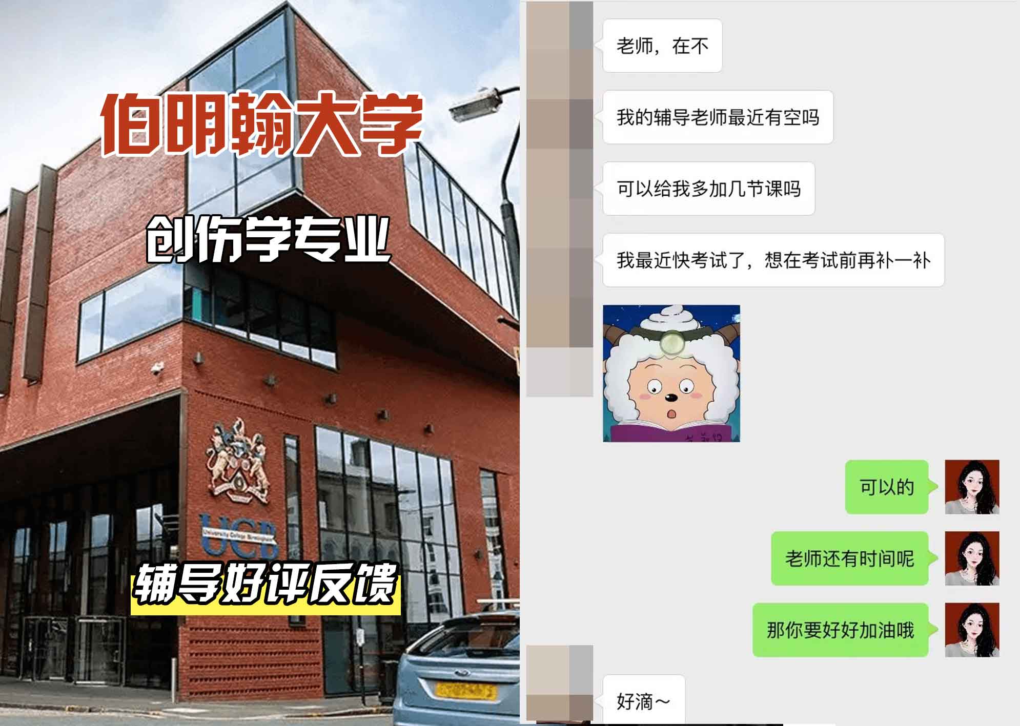 伯明翰大学伯大创伤学辅导好评反馈