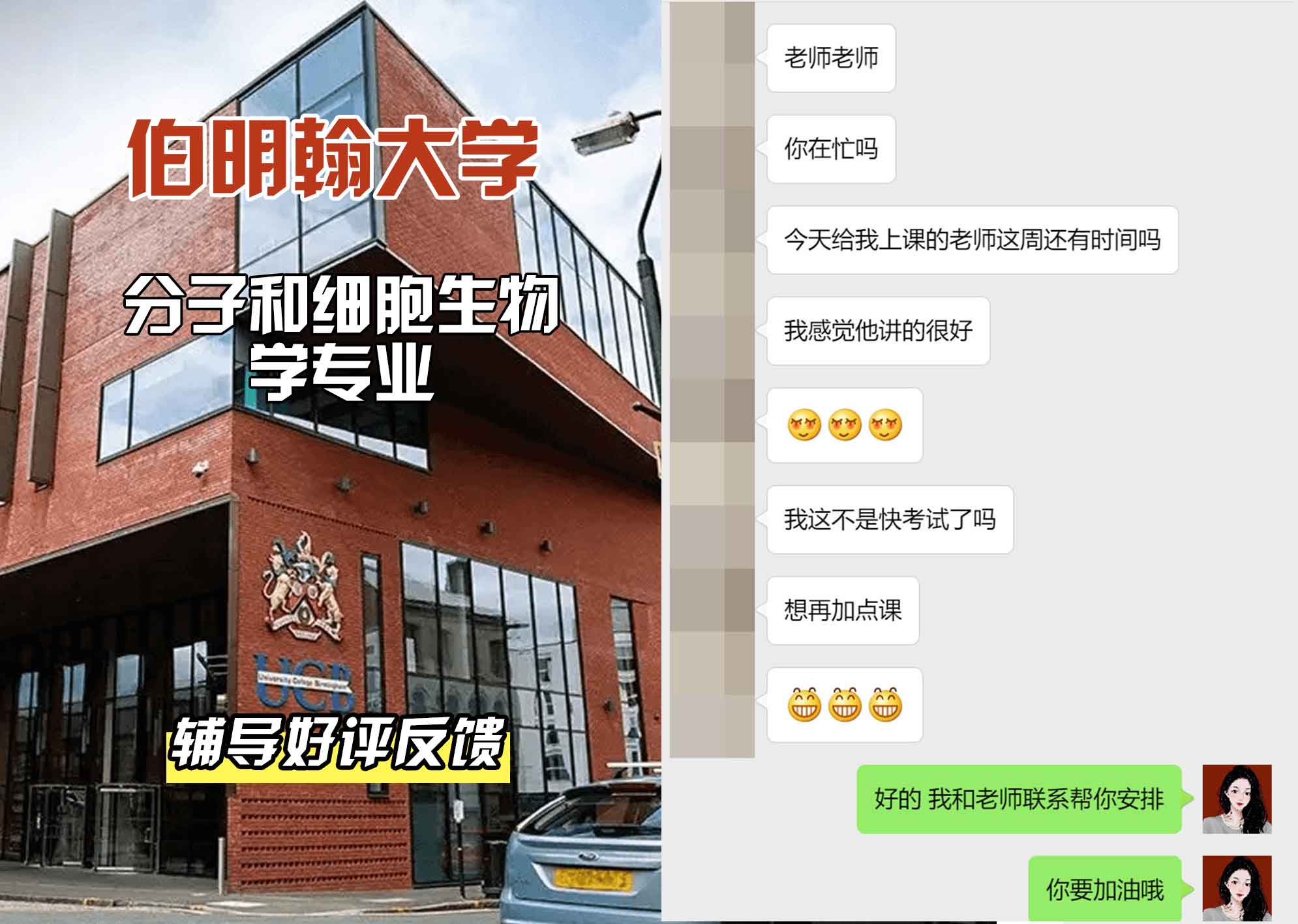 伯明翰大学伯大分子和细胞生物学辅导好评反馈