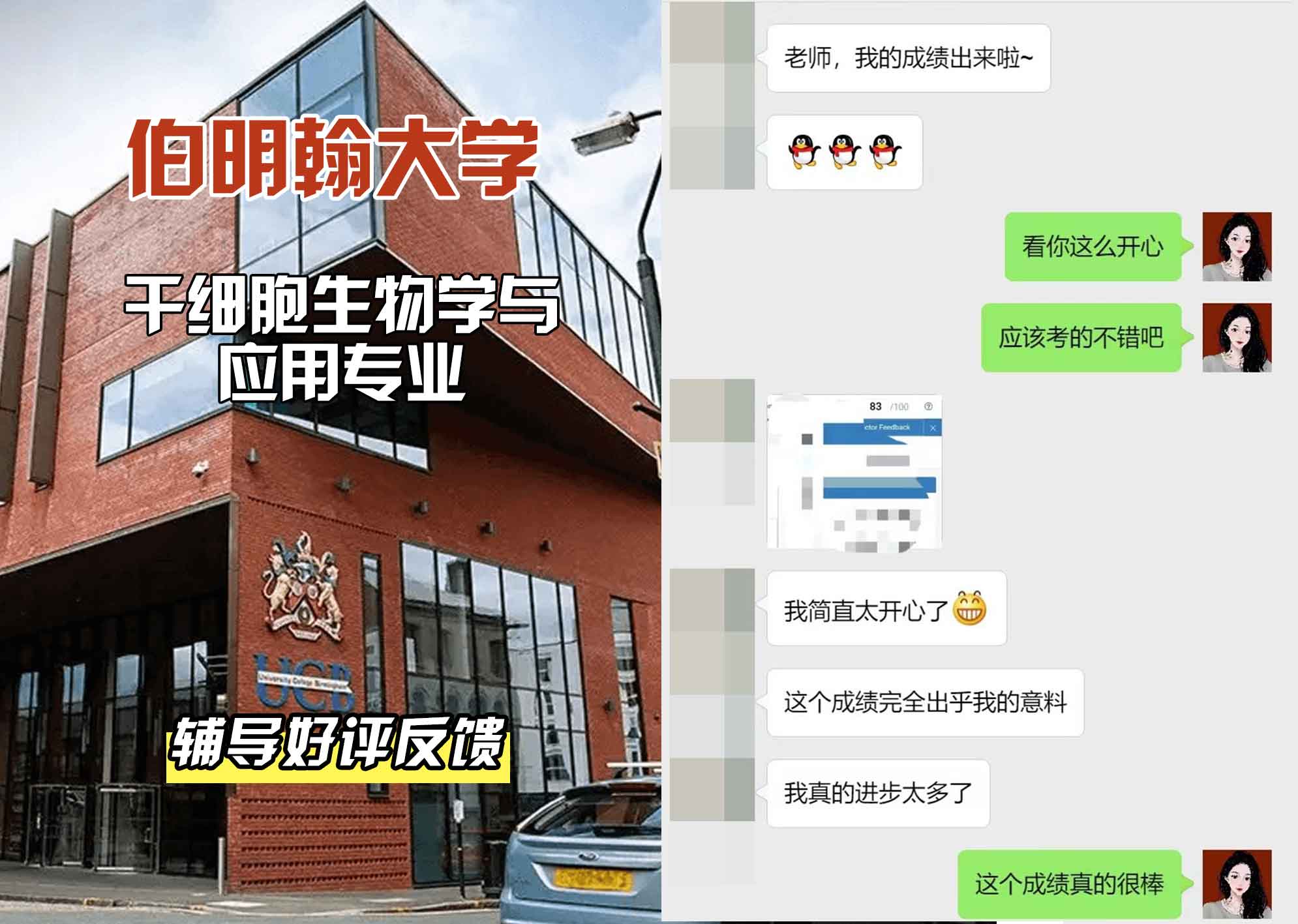 伯明翰大学伯大干细胞生物学与应用辅导好评反馈