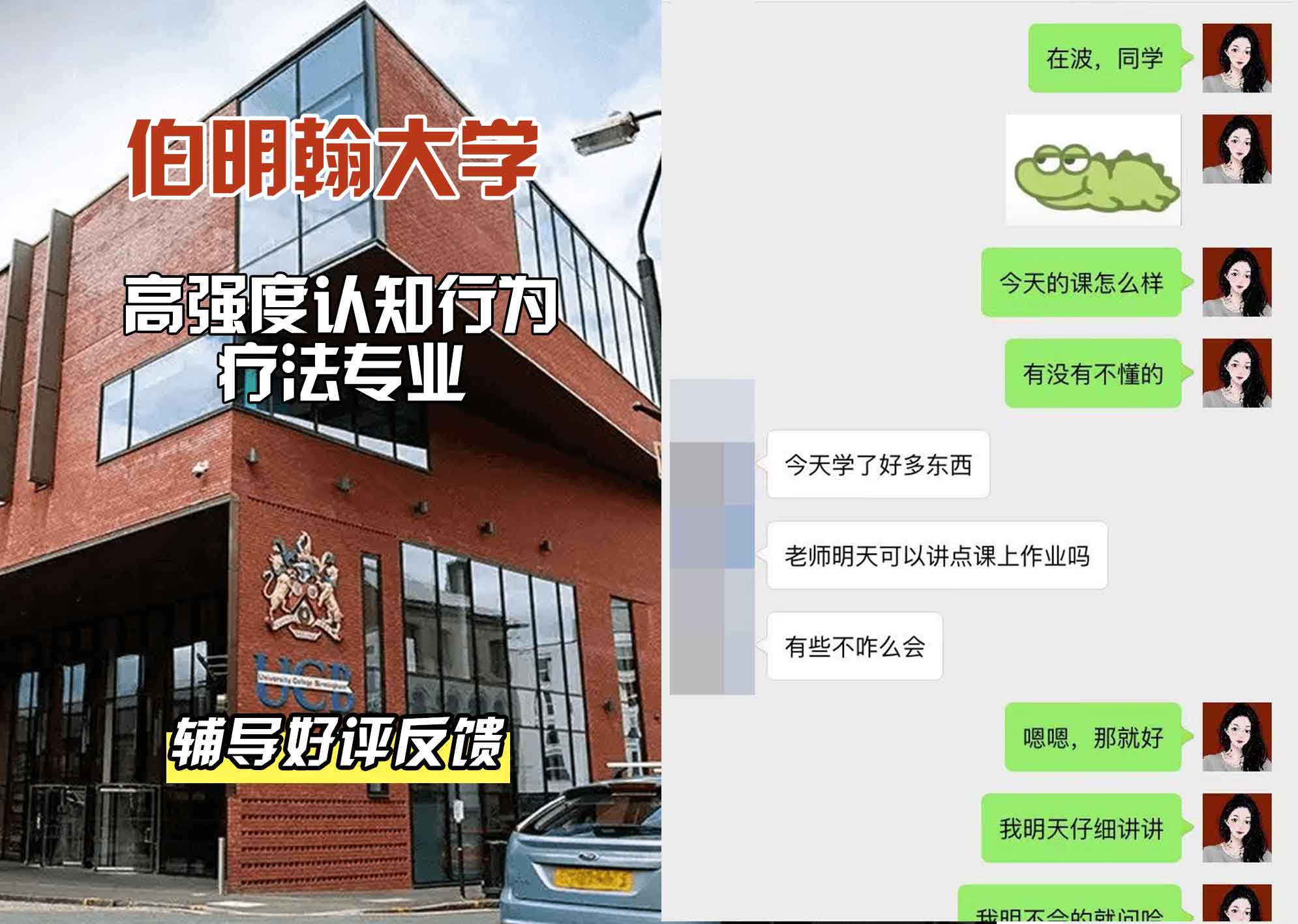 伯明翰大学伯大高强度认知行为疗法辅导好评反馈