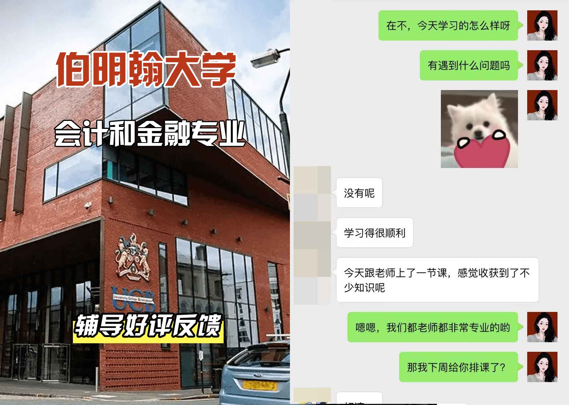 伯明翰大学伯大会计和金融辅导好评反馈