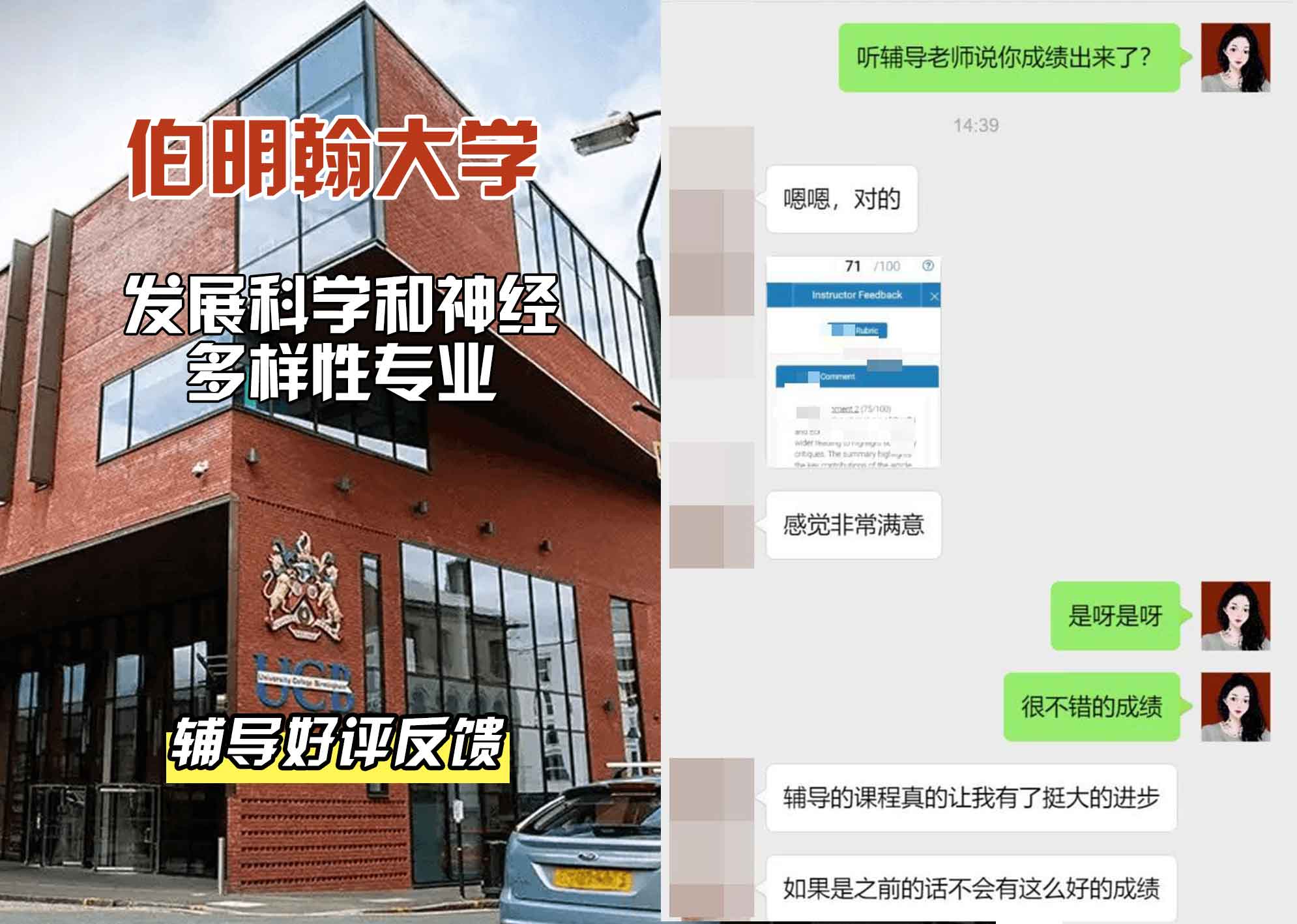 伯明翰大学伯大发展科学与神经多样性辅导好评反馈