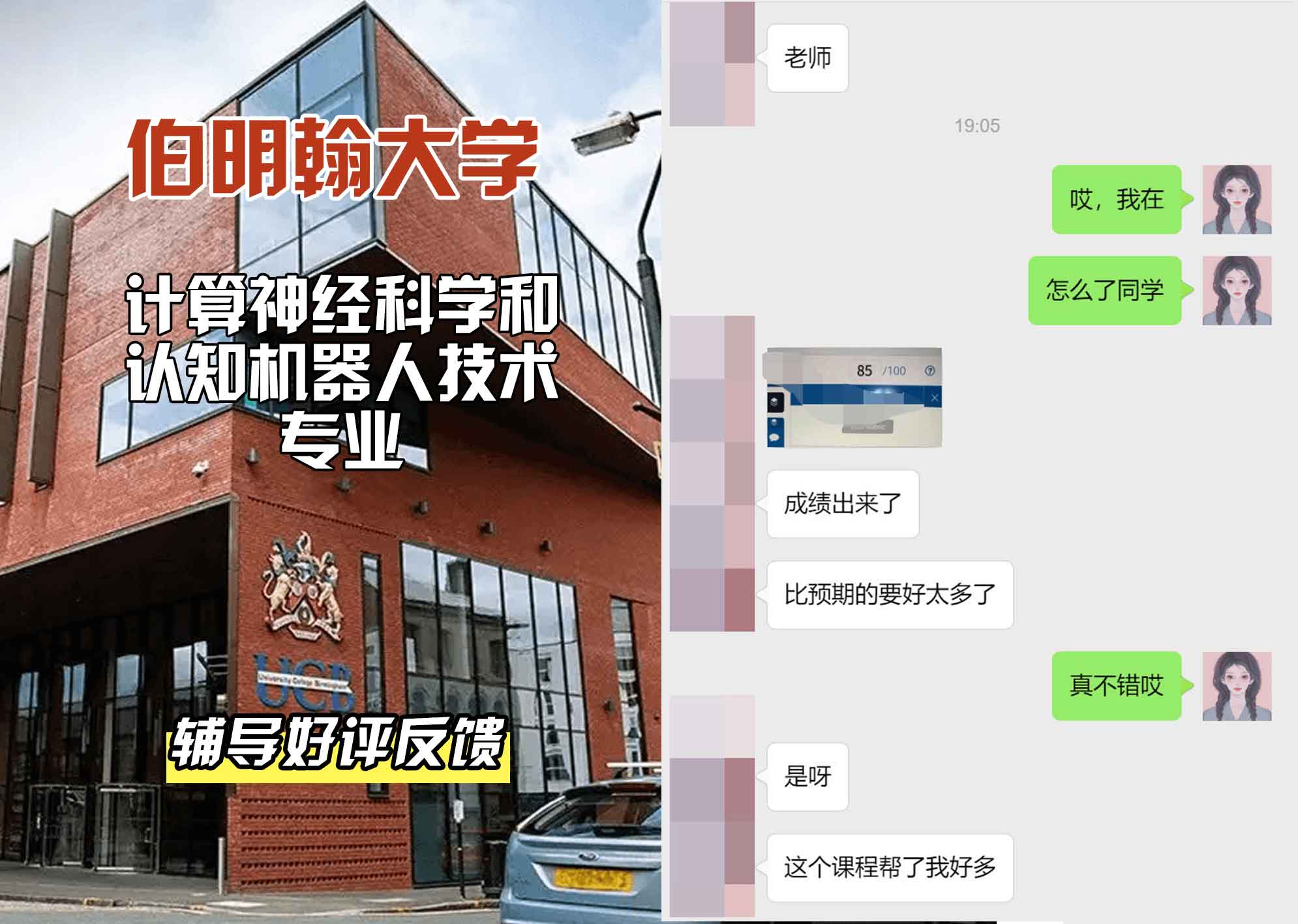 伯明翰大学伯大计算神经科学和认知机器人技术辅导好评反馈