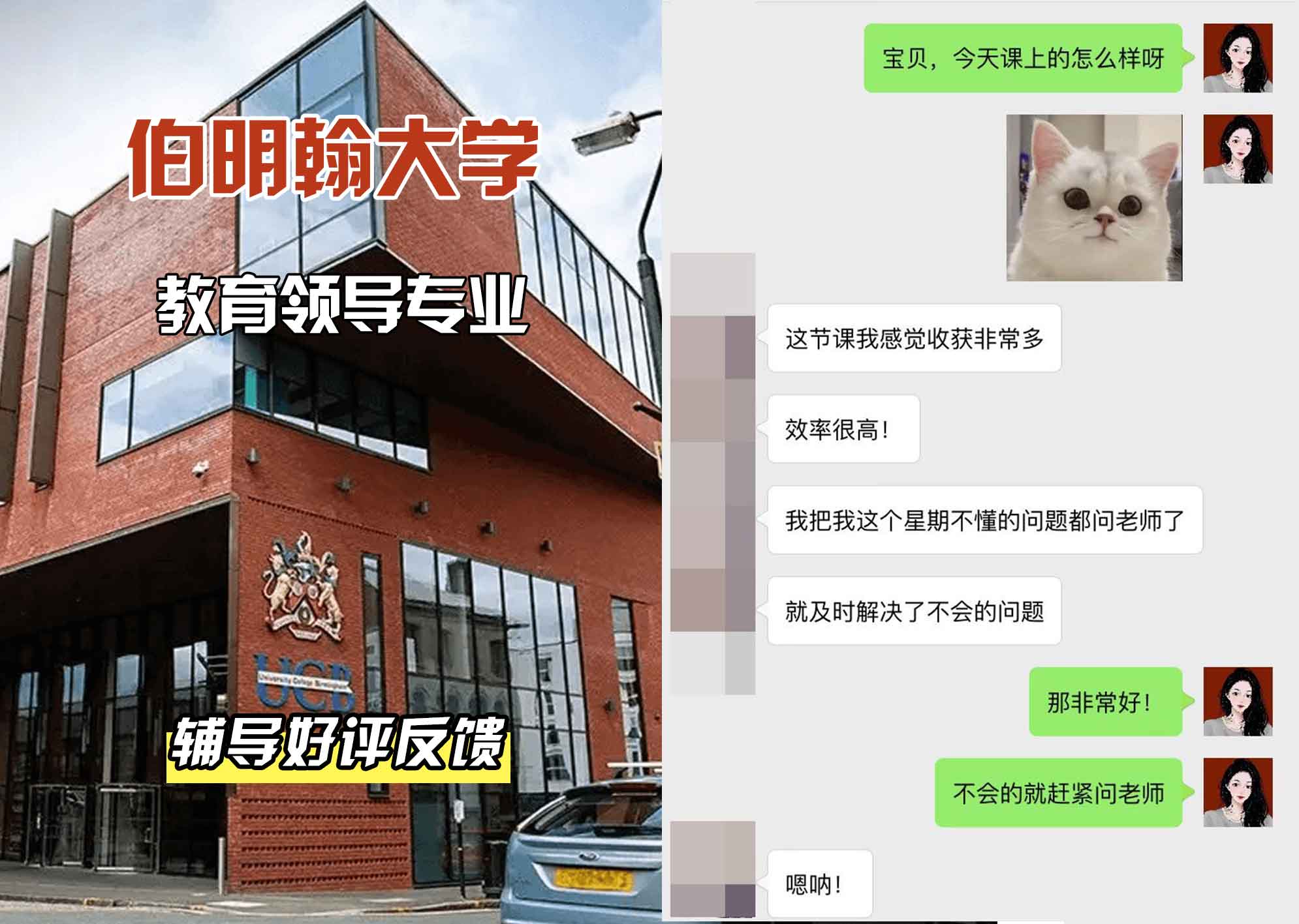 伯明翰大学伯大教育领导辅导好评反馈