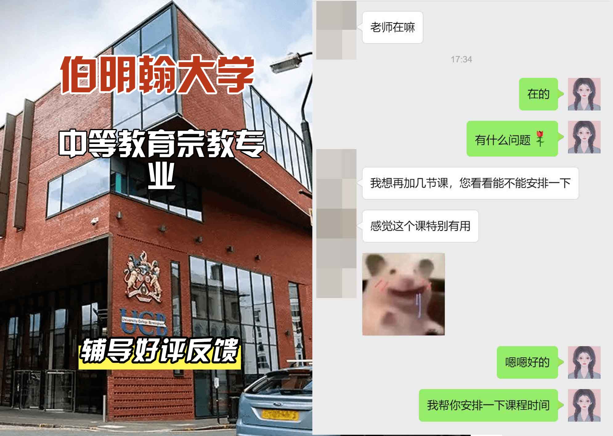 伯明翰大学伯大中等教育宗教辅导好评反馈