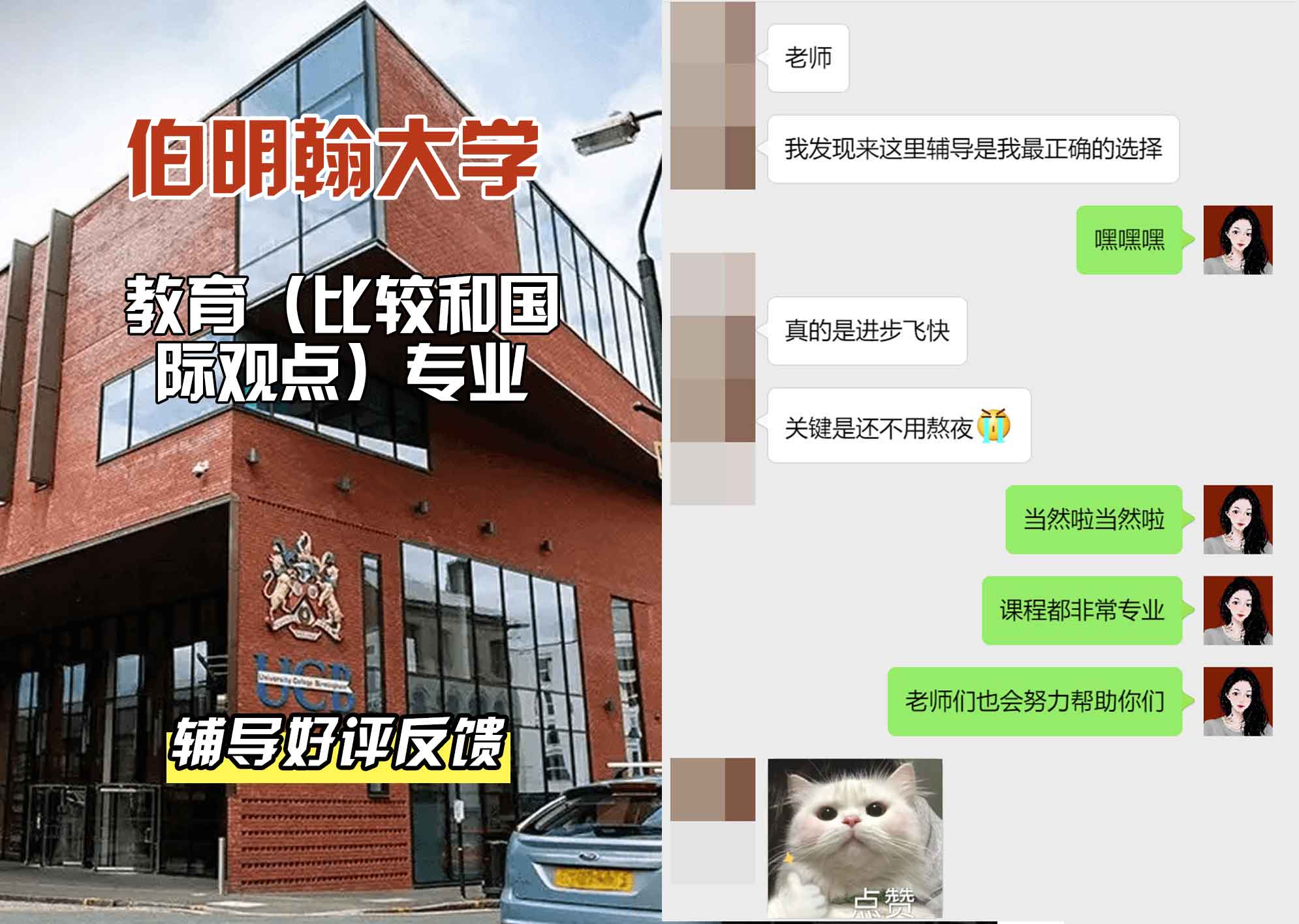 伯明翰大学伯大教育（比较和国际视角）辅导好评反馈