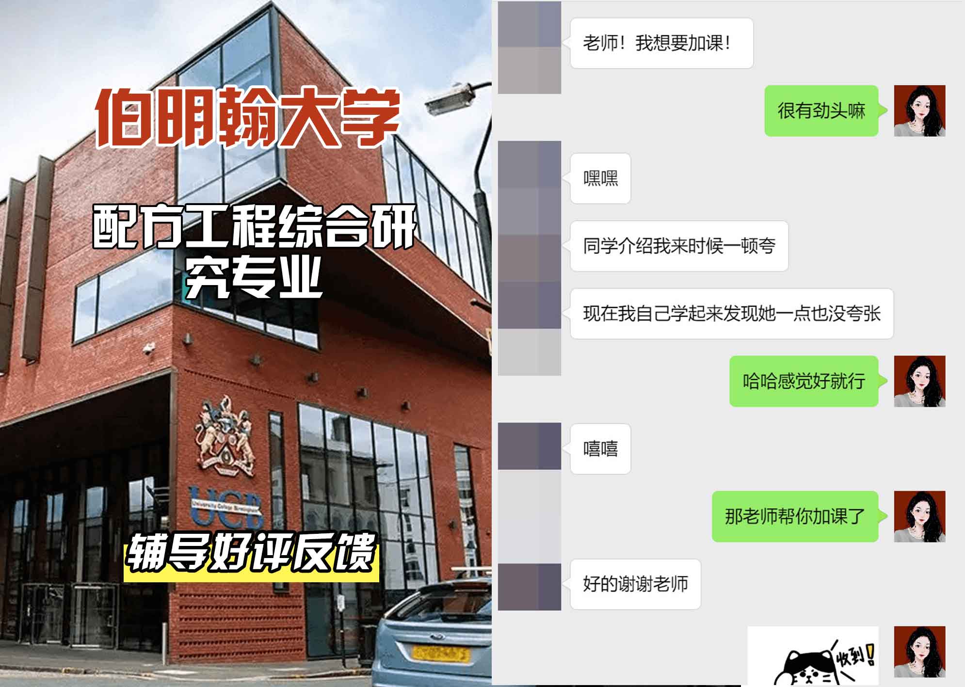 伯明翰大学伯大配方工程综合研究辅导好评反馈