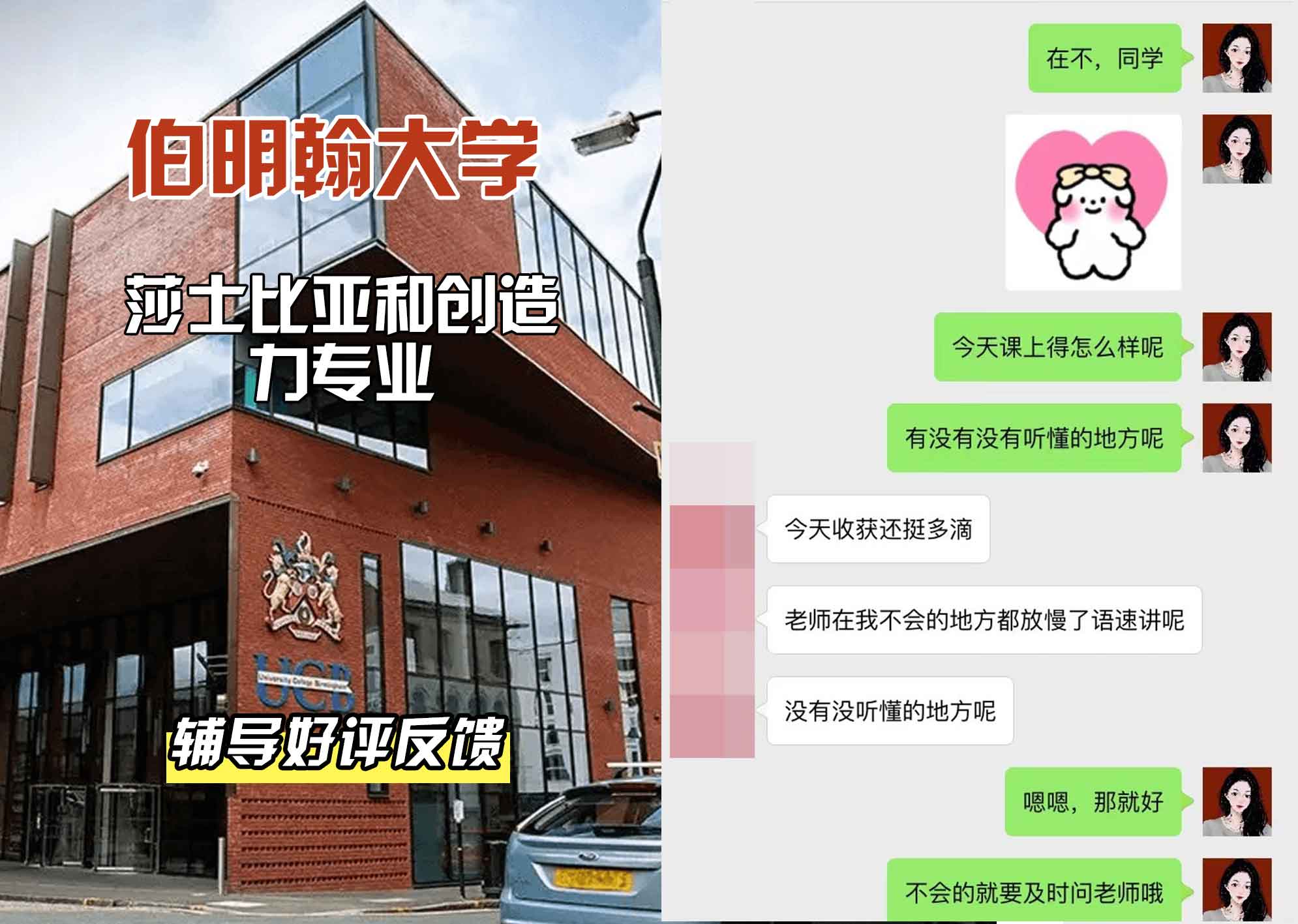 伯明翰大学伯大莎士比亚和创造力辅导好评反馈