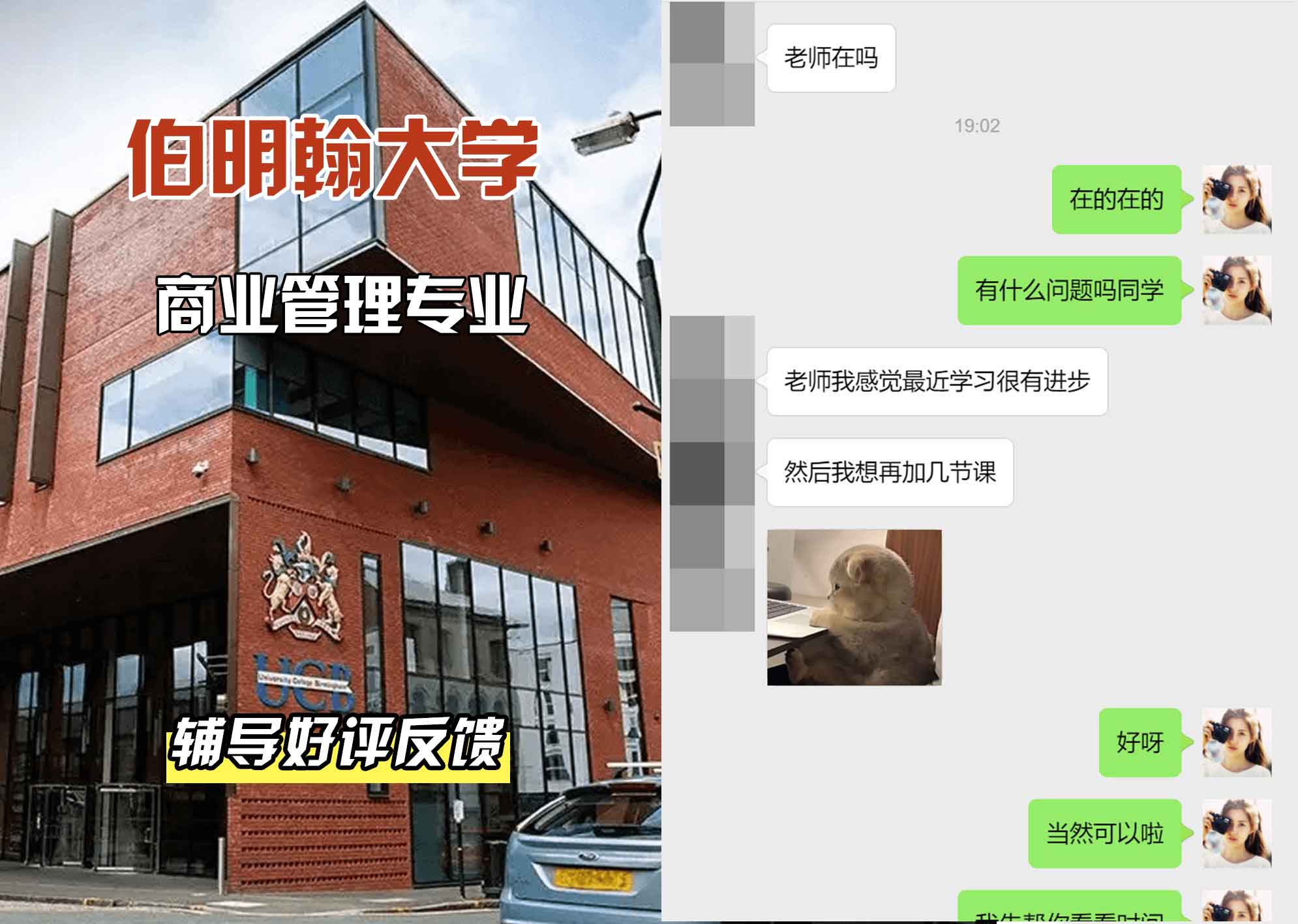 伯明翰大学伯大商业管理辅导好评反馈